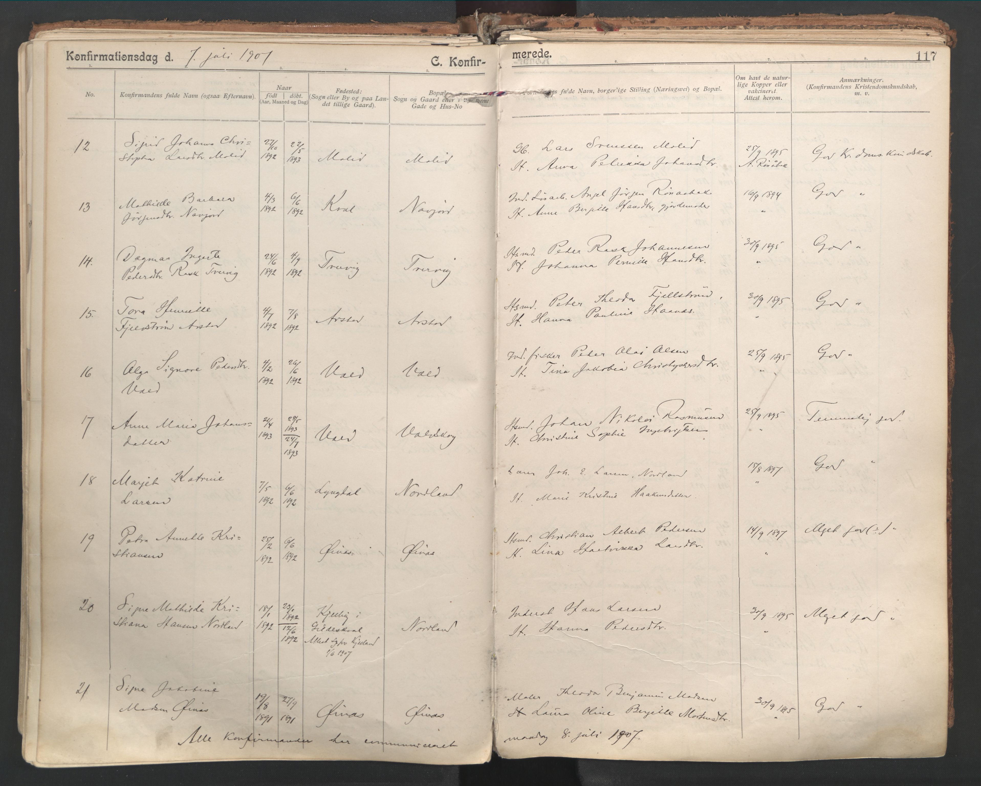 Ministerialprotokoller, klokkerbøker og fødselsregistre - Nordland, AV/SAT-A-1459/846/L0647: Parish register (official) no. 846A05, 1902-1915, p. 117