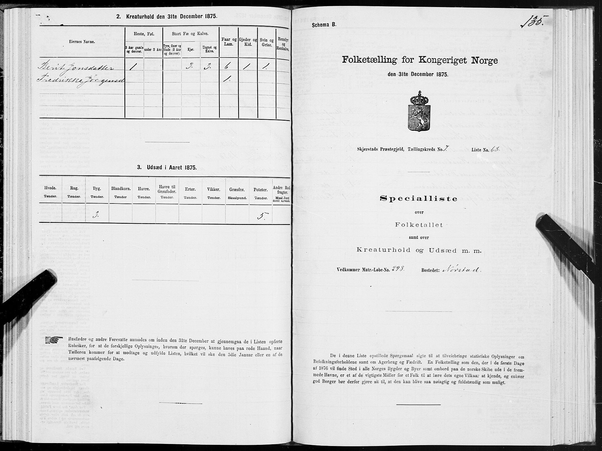 SAT, 1875 census for 1842P Skjerstad, 1875, p. 4135