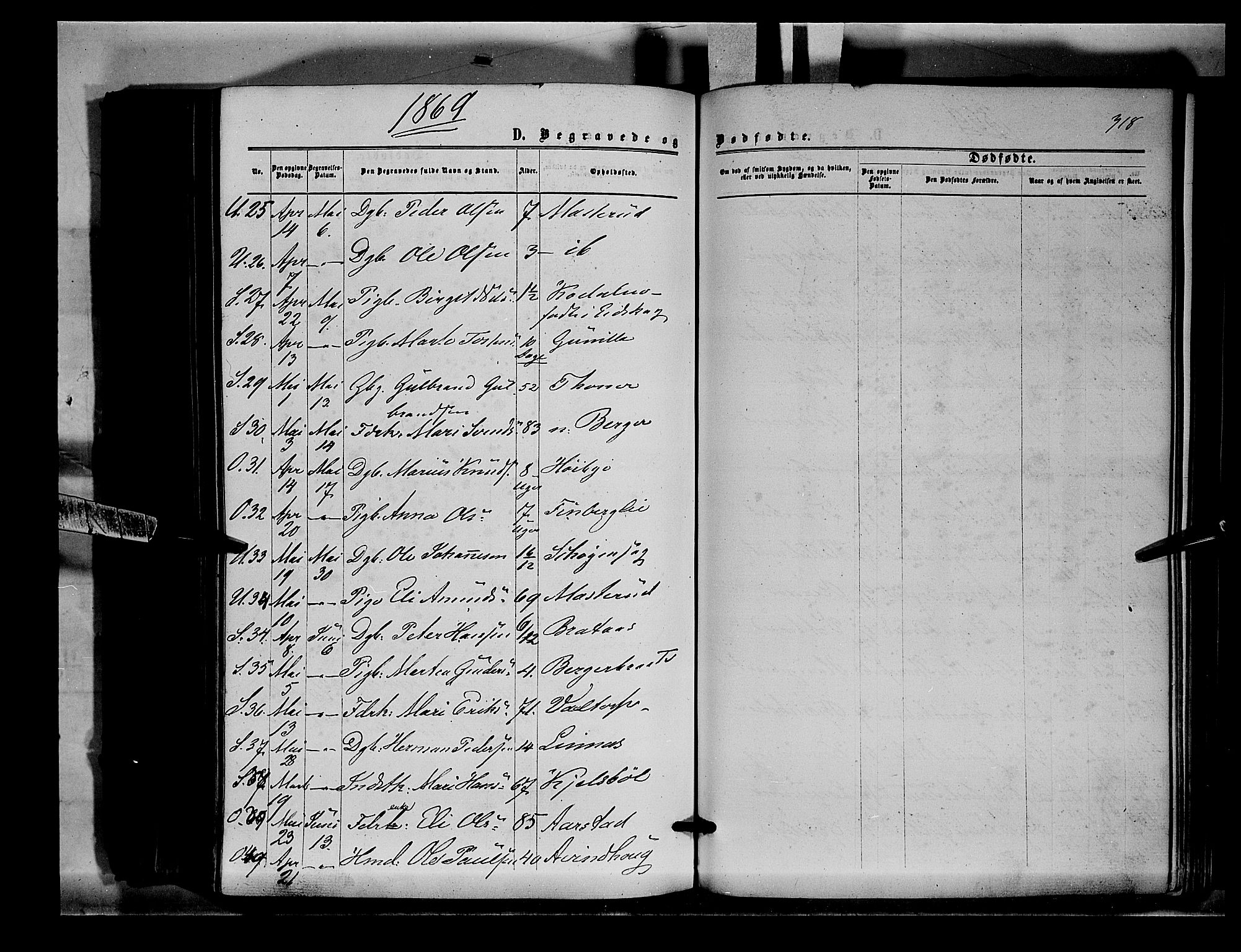 Sør-Odal prestekontor, AV/SAH-PREST-030/H/Ha/Haa/L0003: Parish register (official) no. 3, 1864-1870, p. 318