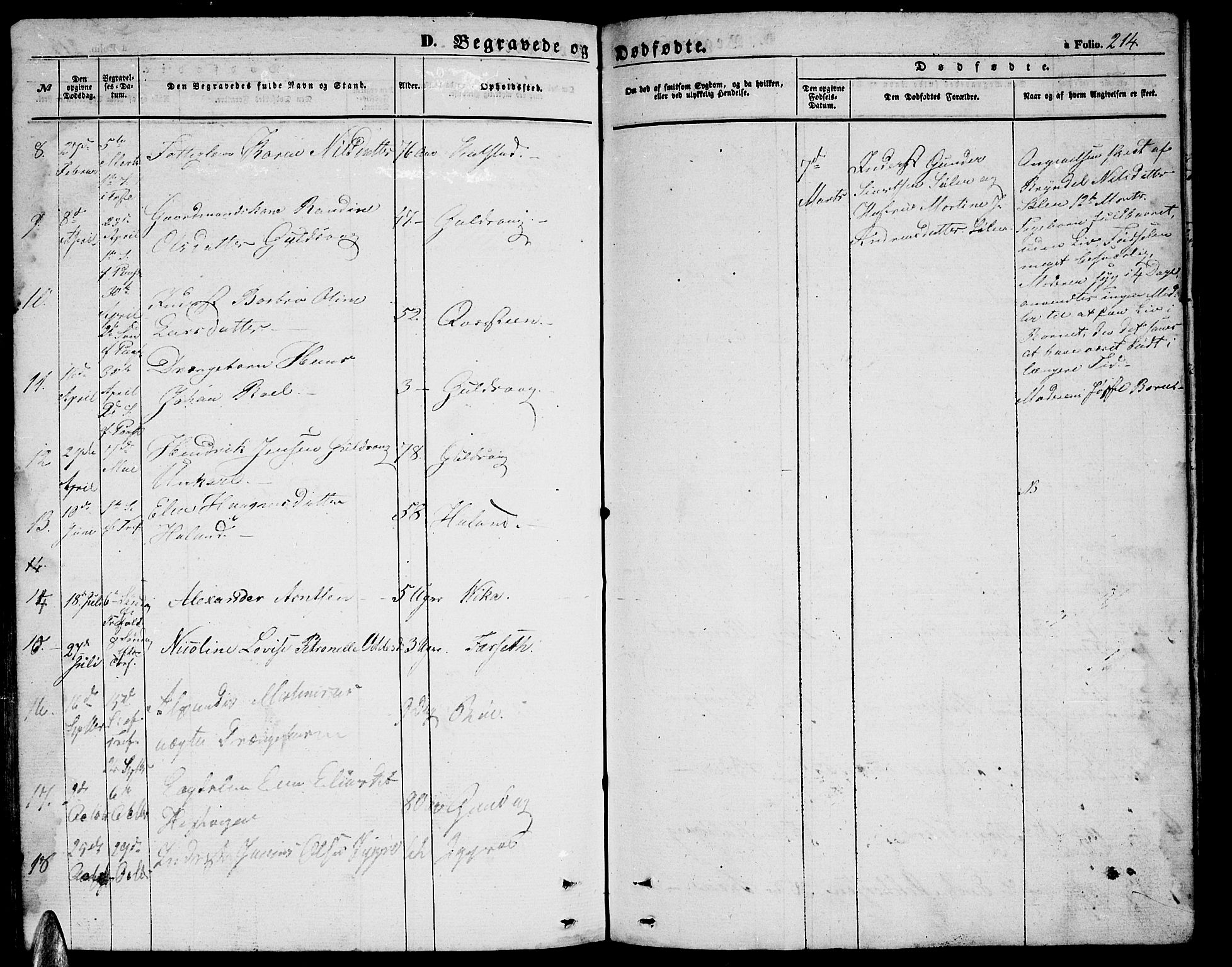 Ministerialprotokoller, klokkerbøker og fødselsregistre - Nordland, AV/SAT-A-1459/816/L0251: Parish register (copy) no. 816C01, 1852-1870, p. 214