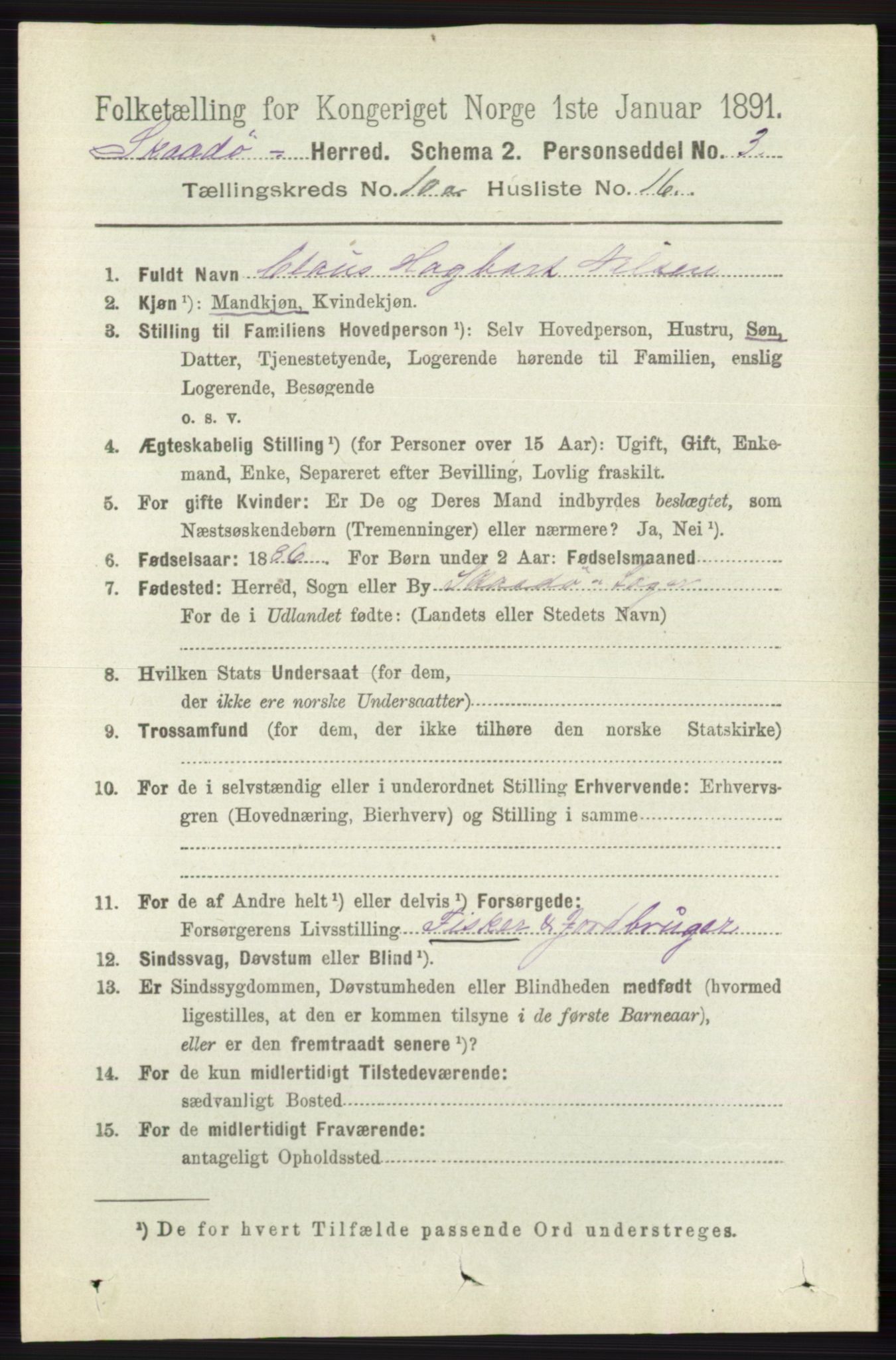 RA, 1891 census for 0815 Skåtøy, 1891, p. 4117