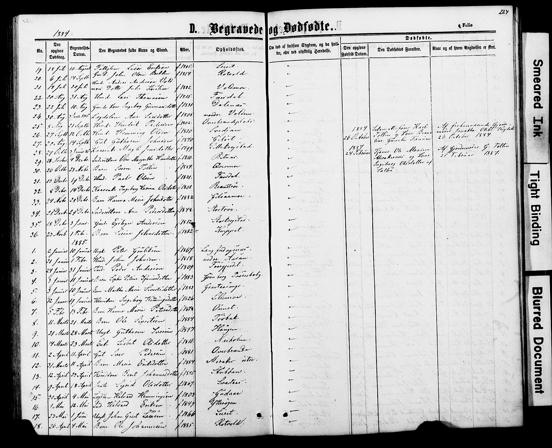 Ministerialprotokoller, klokkerbøker og fødselsregistre - Nord-Trøndelag, SAT/A-1458/706/L0049: Parish register (copy) no. 706C01, 1864-1895, p. 224