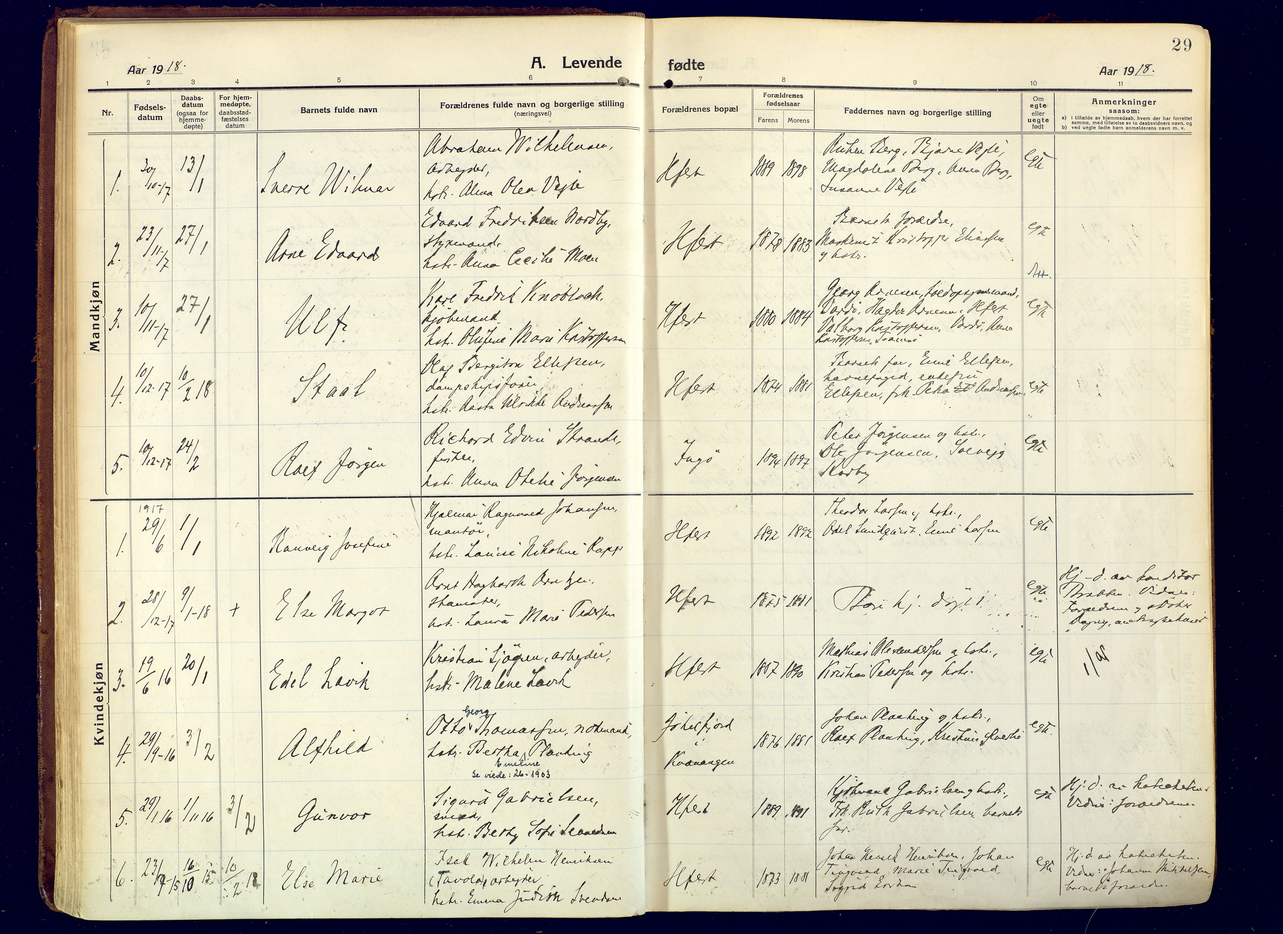 Hammerfest sokneprestkontor, SATØ/S-1347/H/Ha/L0015.kirke: Parish register (official) no. 15, 1916-1923, p. 29