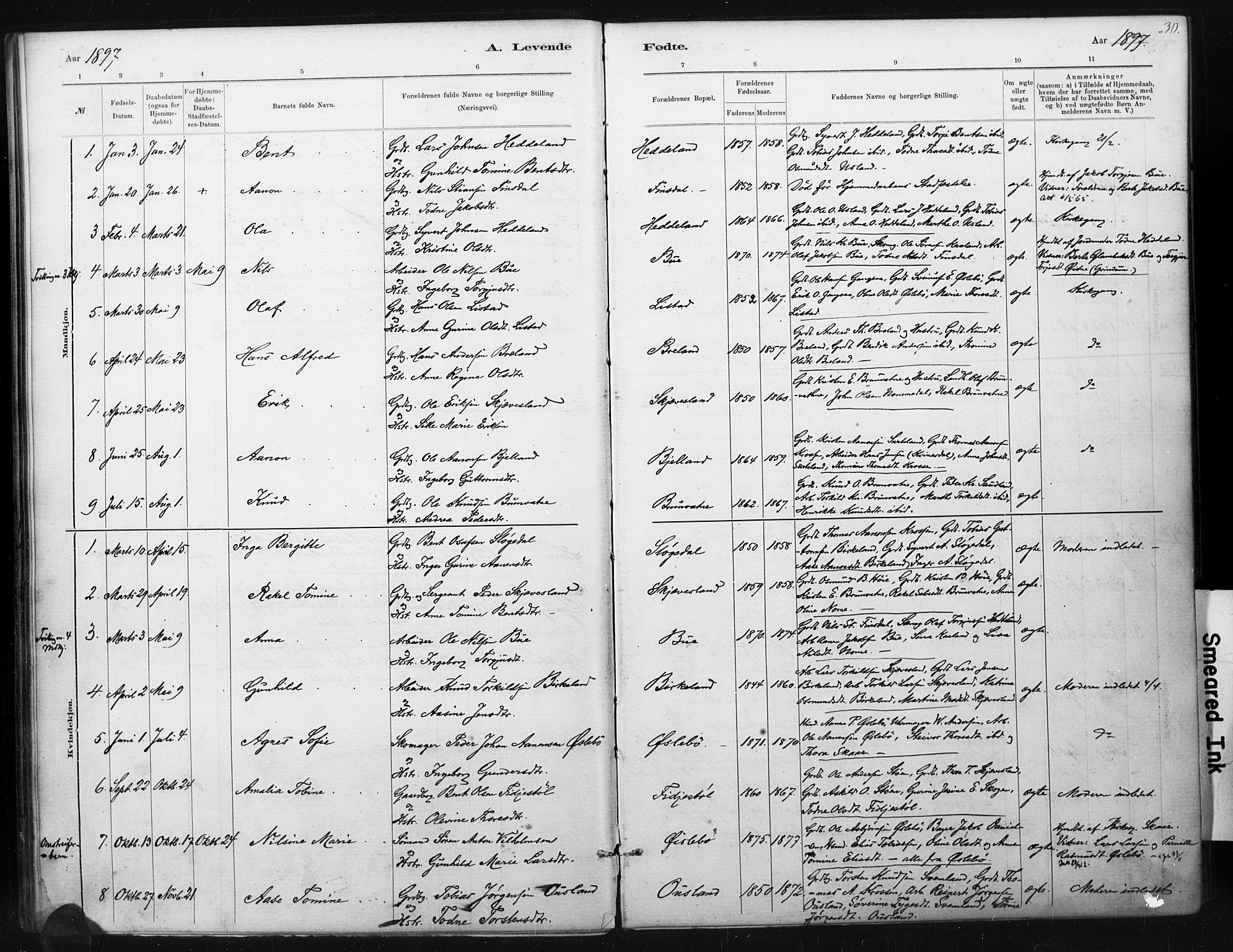 Holum sokneprestkontor, AV/SAK-1111-0022/F/Fa/Fac/L0004: Parish register (official) no. A 4, 1884-1907, p. 30