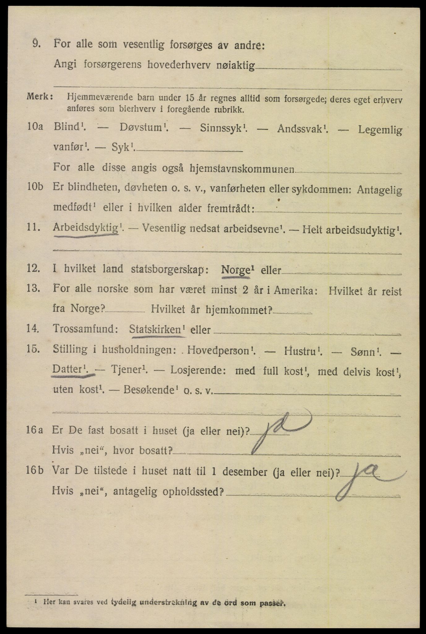 SAK, 1920 census for Hornnes, 1920, p. 3214