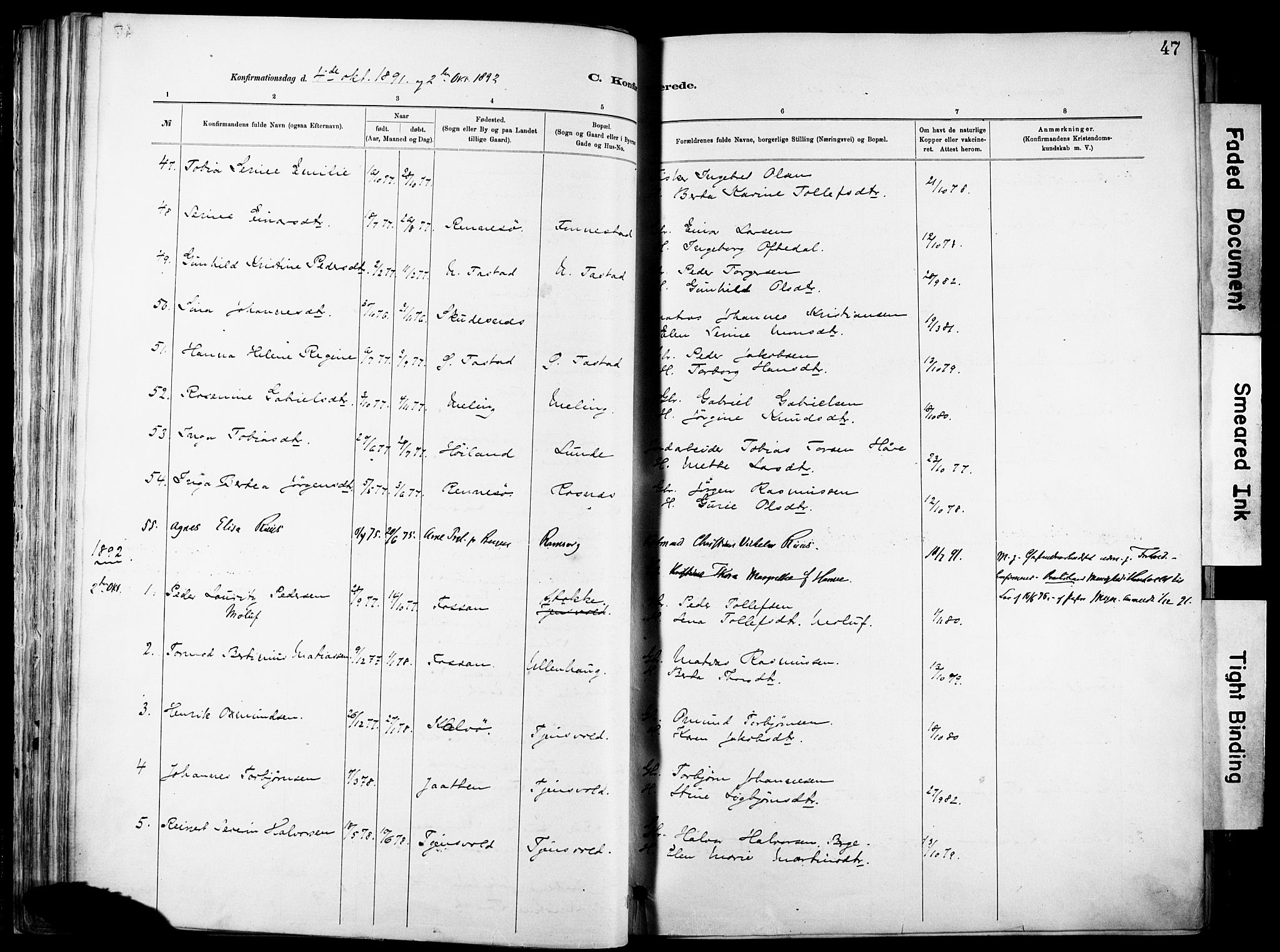 Hetland sokneprestkontor, SAST/A-101826/30/30BA/L0012: Parish register (official) no. A 12, 1882-1912, p. 47