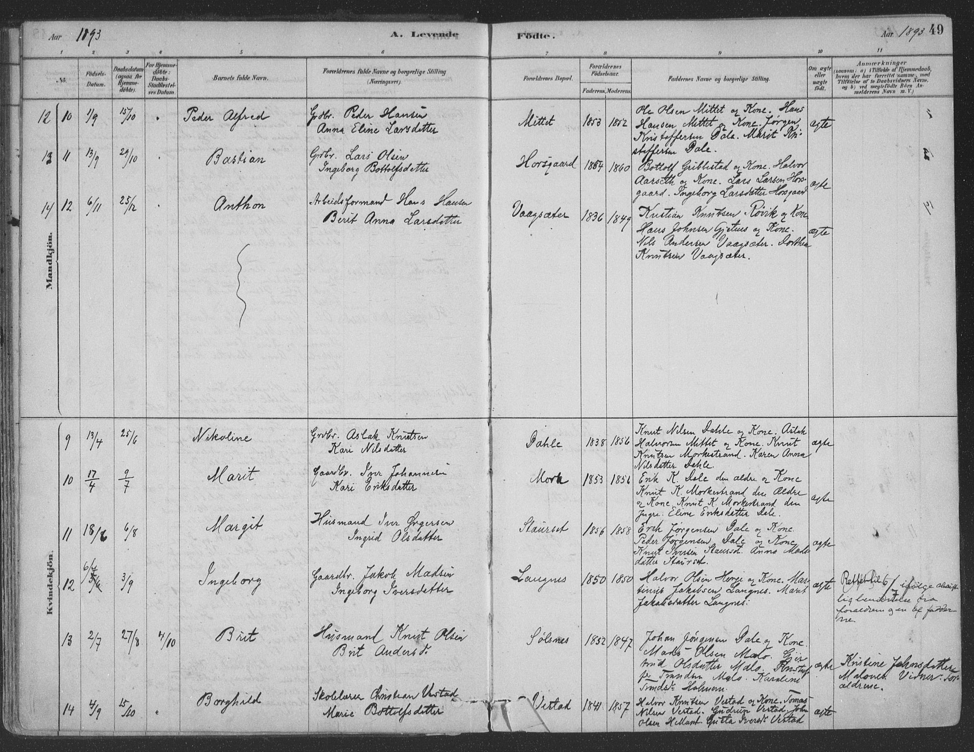 Ministerialprotokoller, klokkerbøker og fødselsregistre - Møre og Romsdal, AV/SAT-A-1454/547/L0604: Parish register (official) no. 547A06, 1878-1906, p. 49