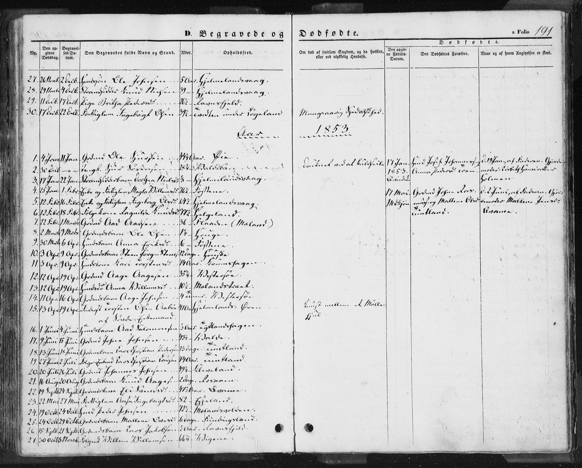 Hjelmeland sokneprestkontor, AV/SAST-A-101843/01/IV/L0009: Parish register (official) no. A 9, 1846-1860, p. 191