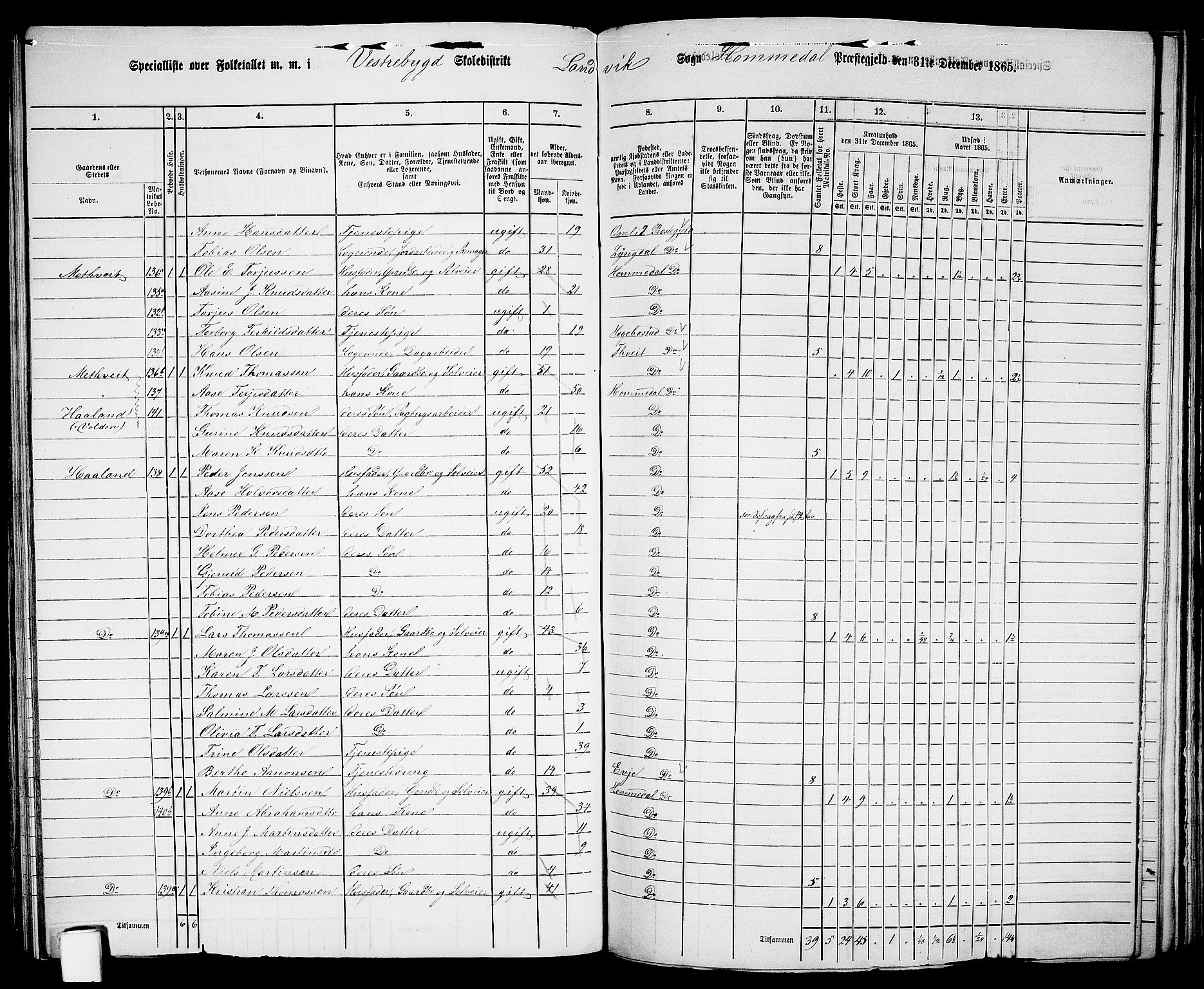 RA, 1865 census for Homedal, 1865, p. 121