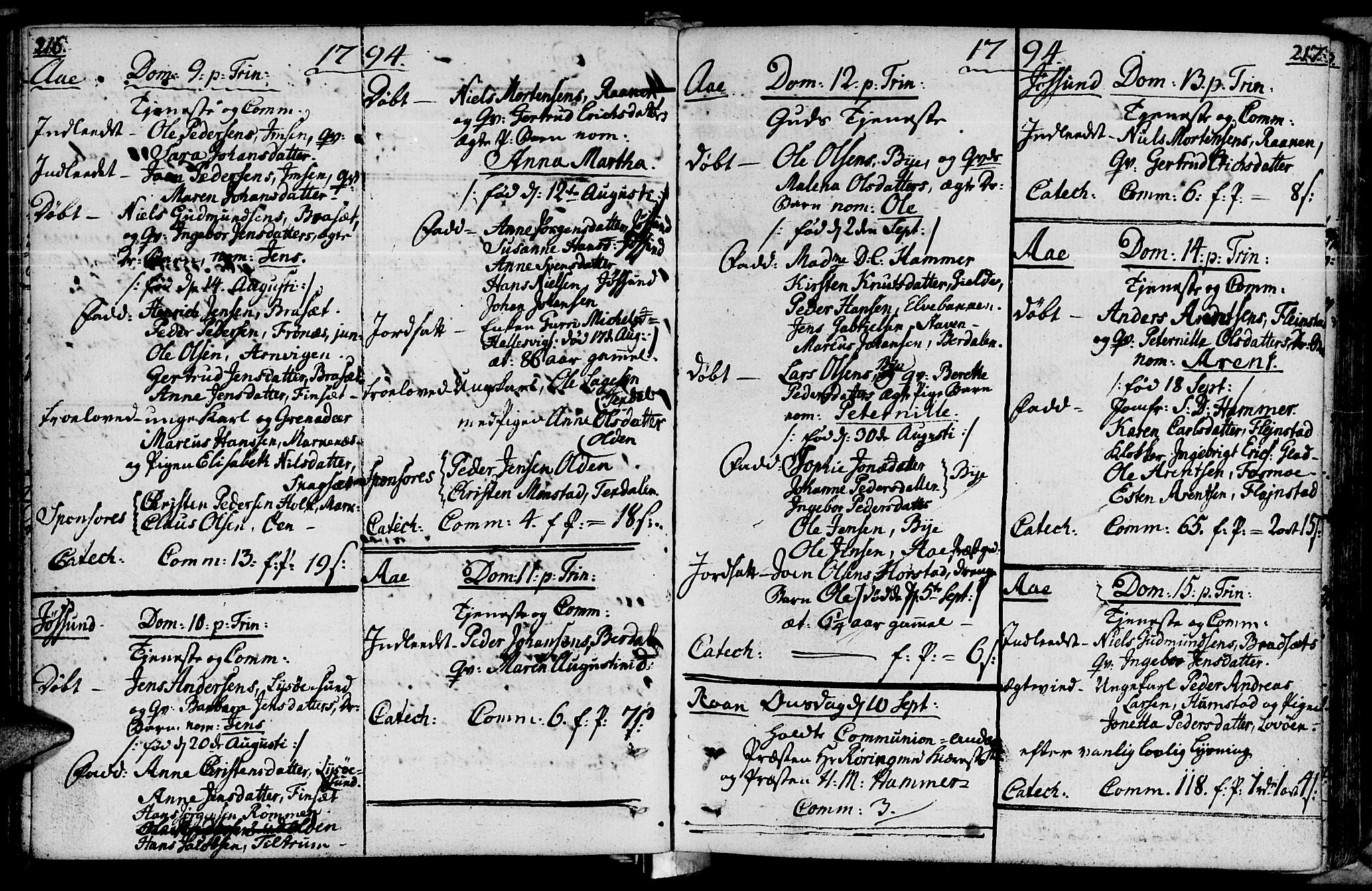 Ministerialprotokoller, klokkerbøker og fødselsregistre - Sør-Trøndelag, AV/SAT-A-1456/655/L0673: Parish register (official) no. 655A02, 1780-1801, p. 216-217