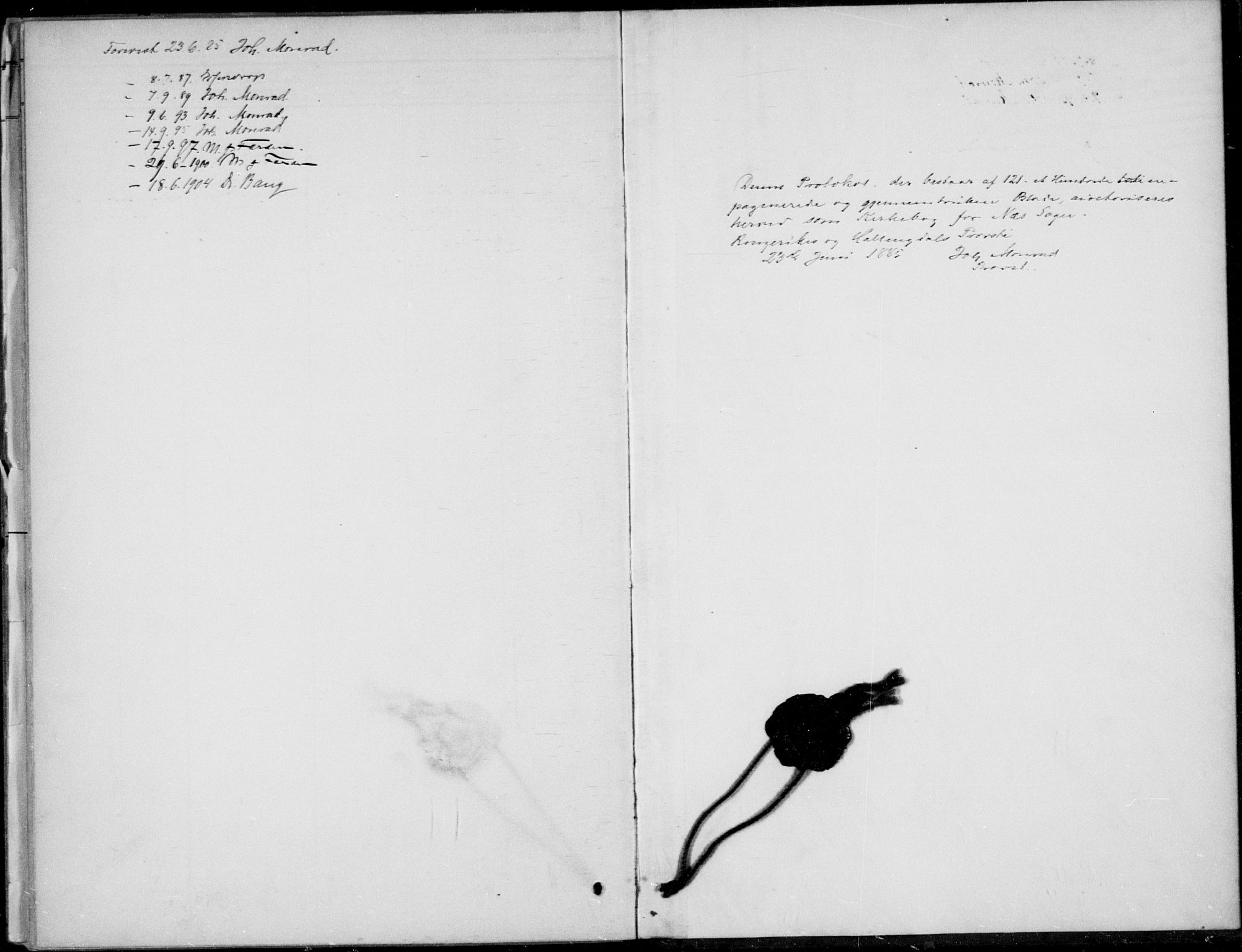 Ådal kirkebøker, AV/SAKO-A-248/F/Fa/L0004: Parish register (official) no. I 4, 1884-1904