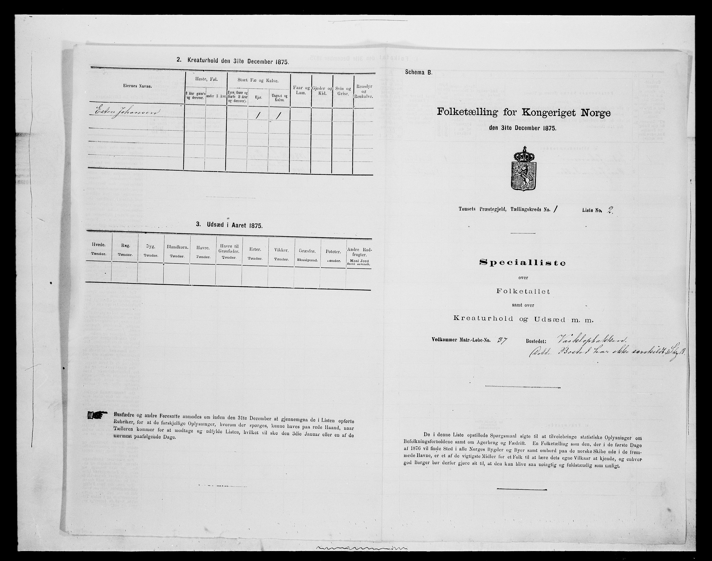 SAH, 1875 census for 0437P Tynset, 1875, p. 200