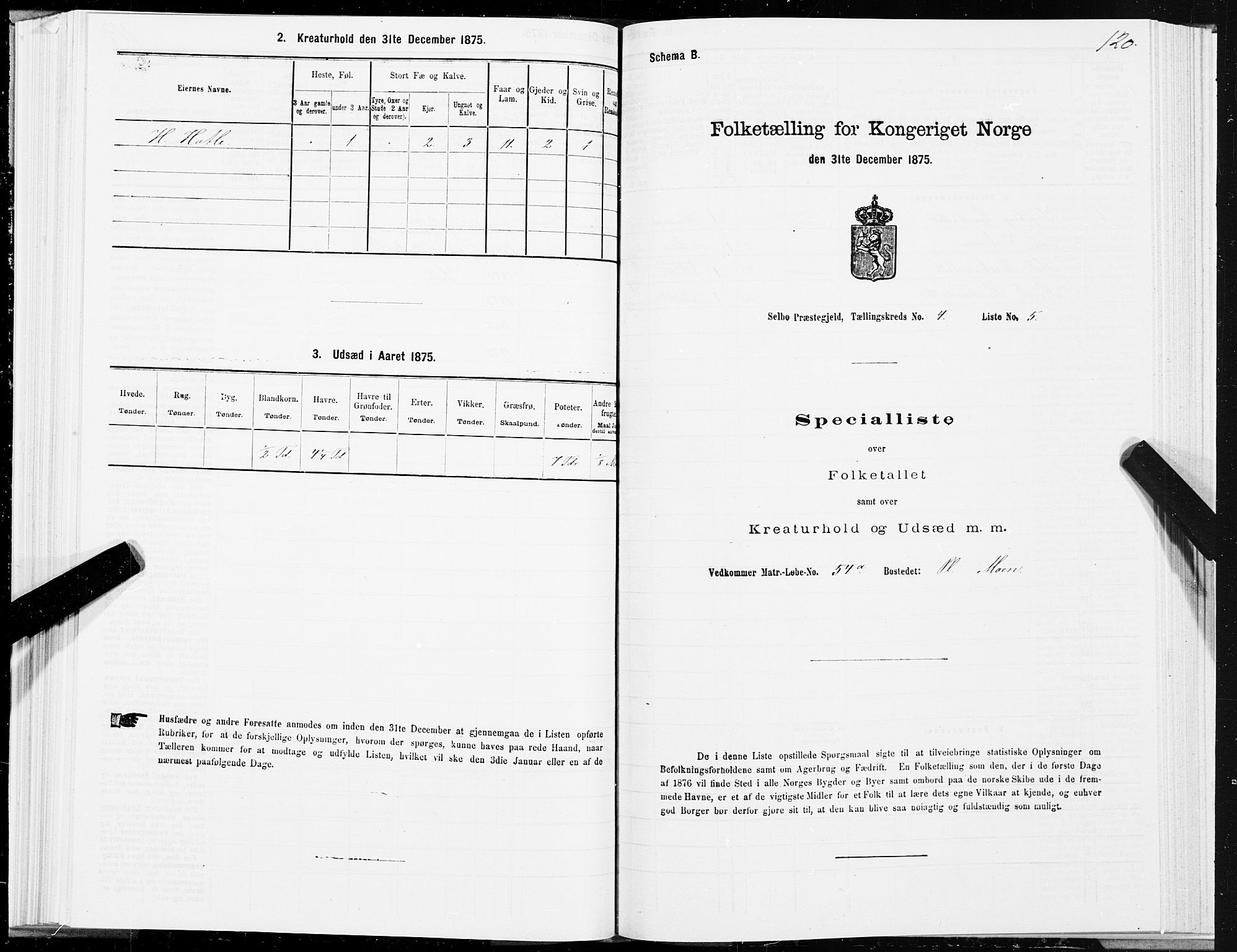 SAT, 1875 census for 1664P Selbu, 1875, p. 2120