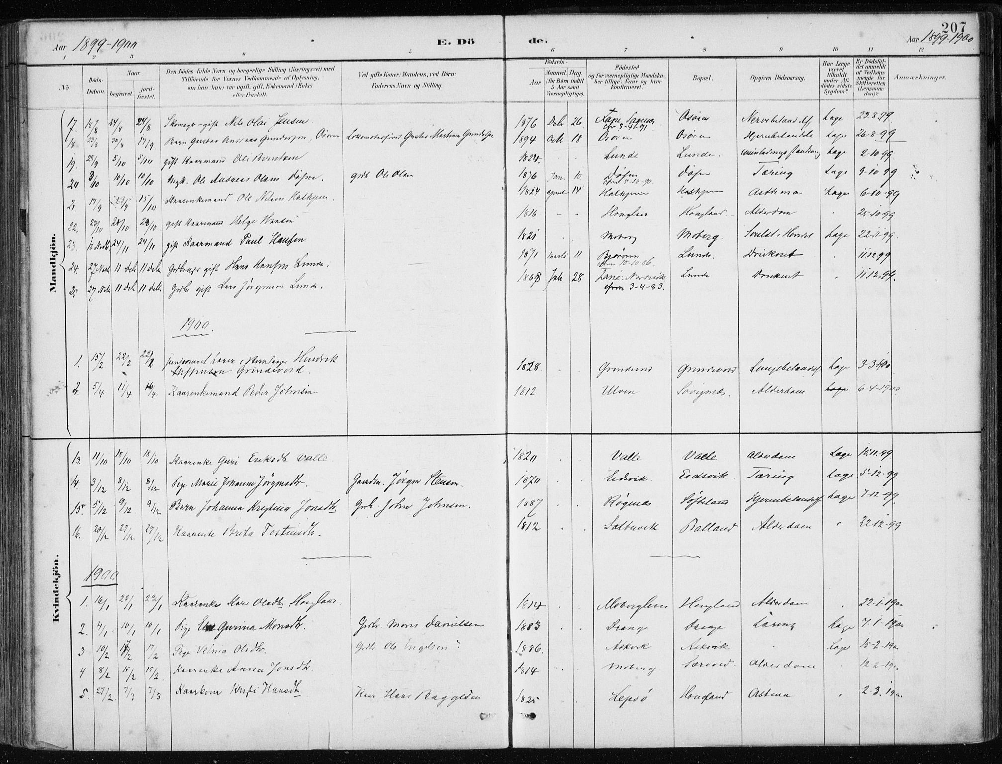 Os sokneprestembete, SAB/A-99929: Parish register (official) no. B 1, 1885-1902, p. 207
