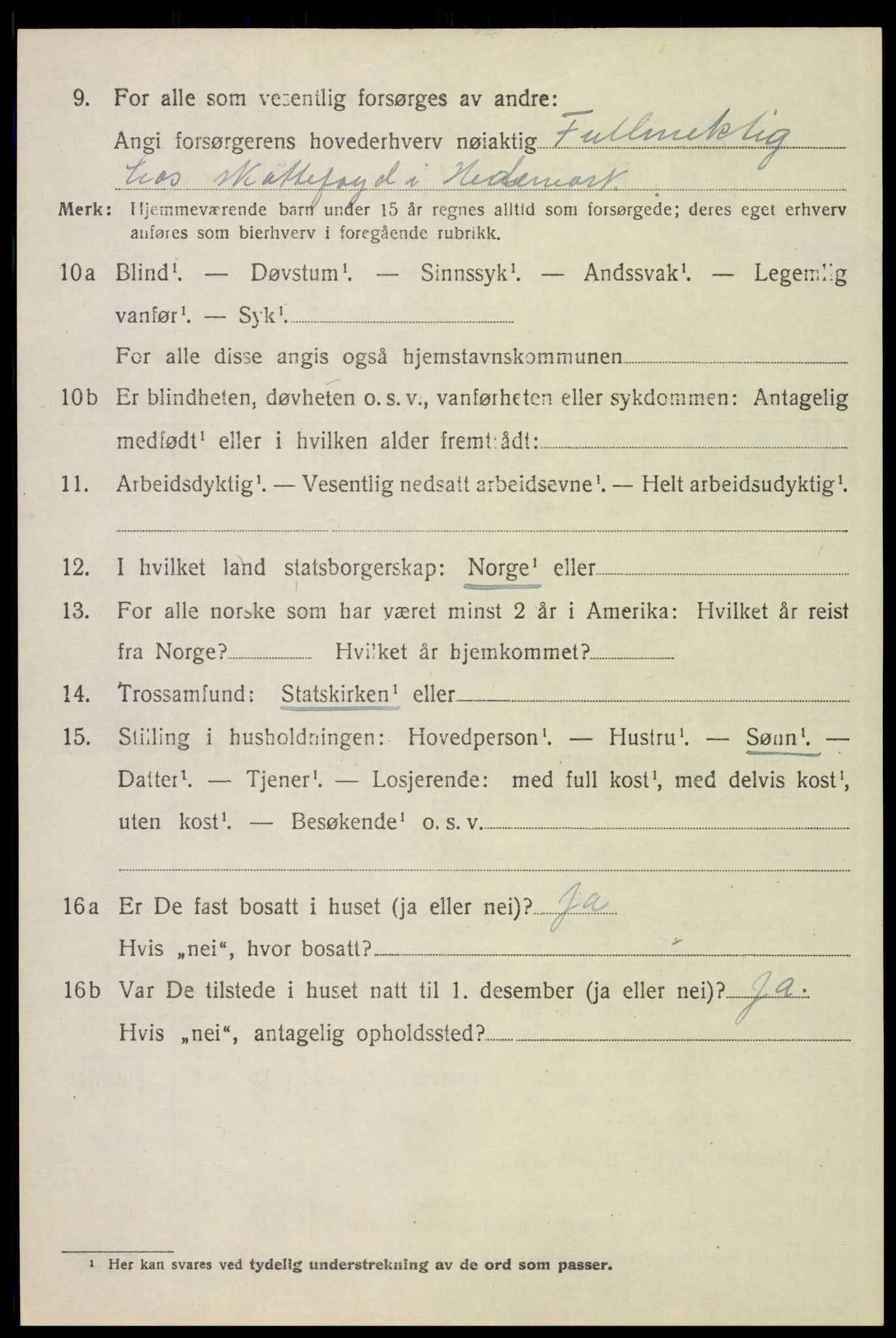 SAH, 1920 census for Tynset, 1920, p. 6913