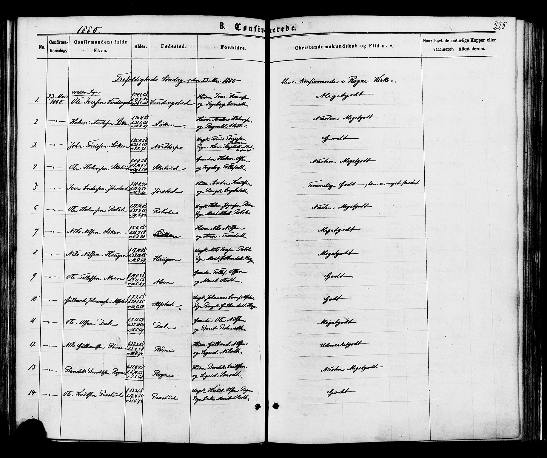 Øystre Slidre prestekontor, SAH/PREST-138/H/Ha/Haa/L0002: Parish register (official) no. 2, 1874-1886, p. 225