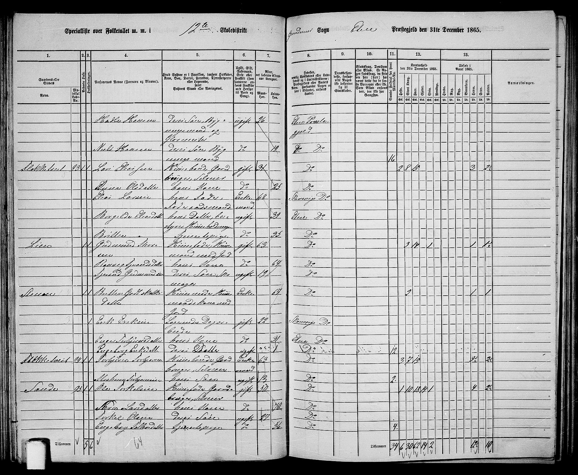 RA, 1865 census for Etne, 1865, p. 80