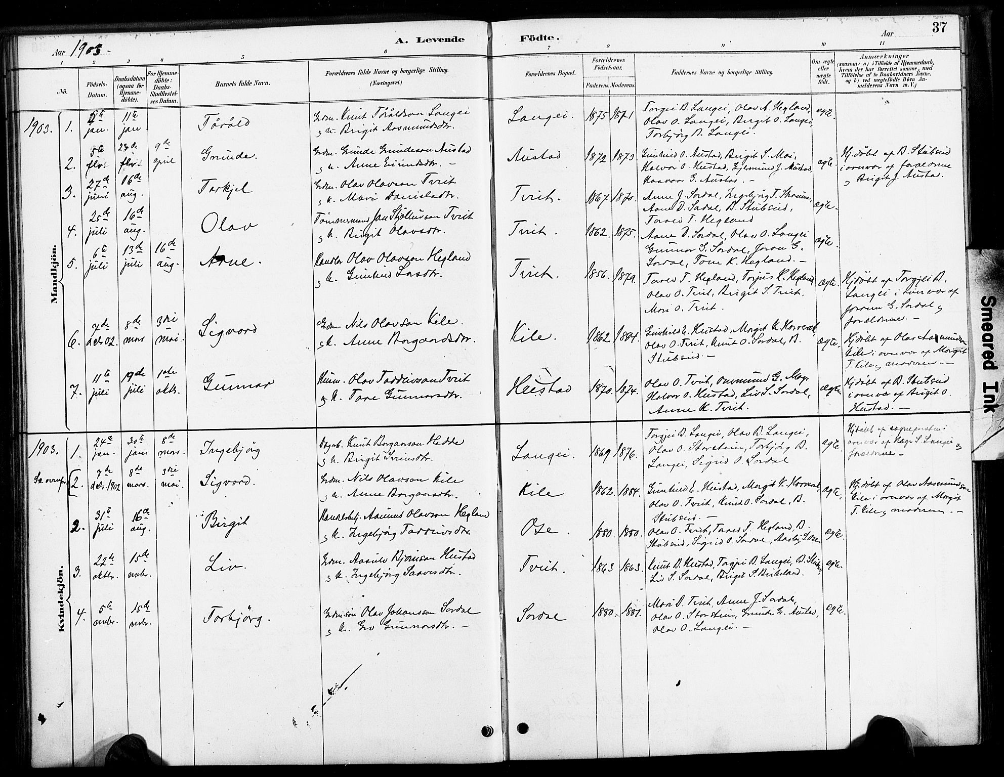 Bygland sokneprestkontor, SAK/1111-0006/F/Fa/Faa/L0001: Parish register (official) no. A 1, 1885-1908, p. 37