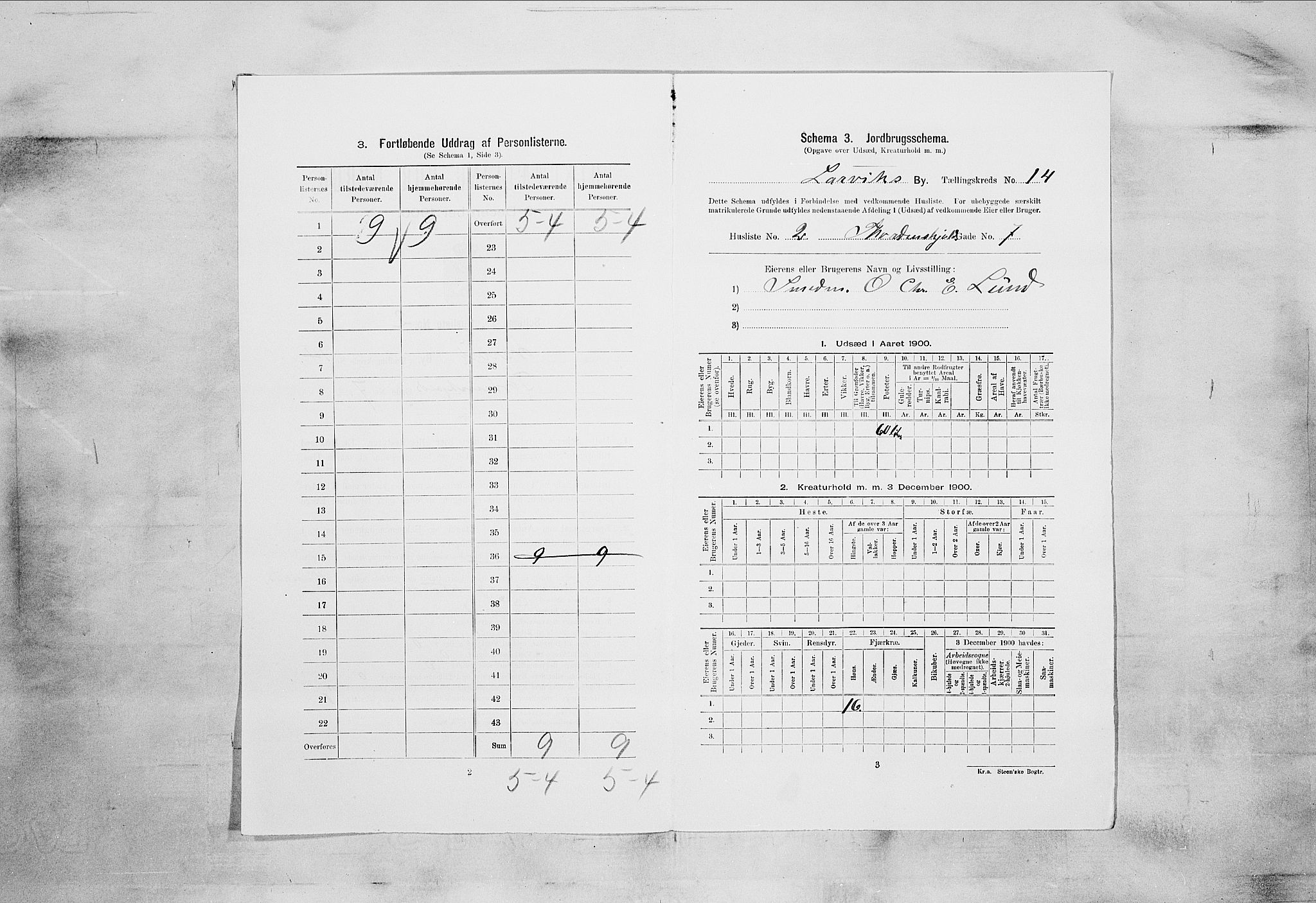 RA, 1900 census for Larvik, 1900, p. 1327