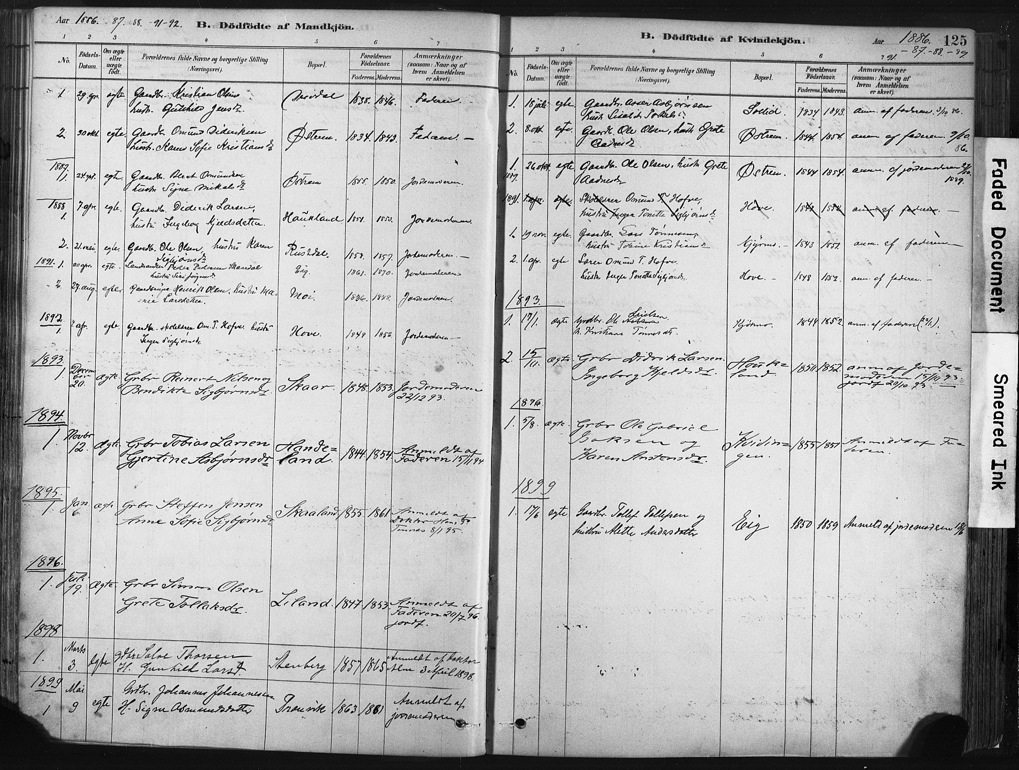 Lund sokneprestkontor, SAST/A-101809/S06/L0011: Parish register (official) no. A 10, 1877-1904, p. 125