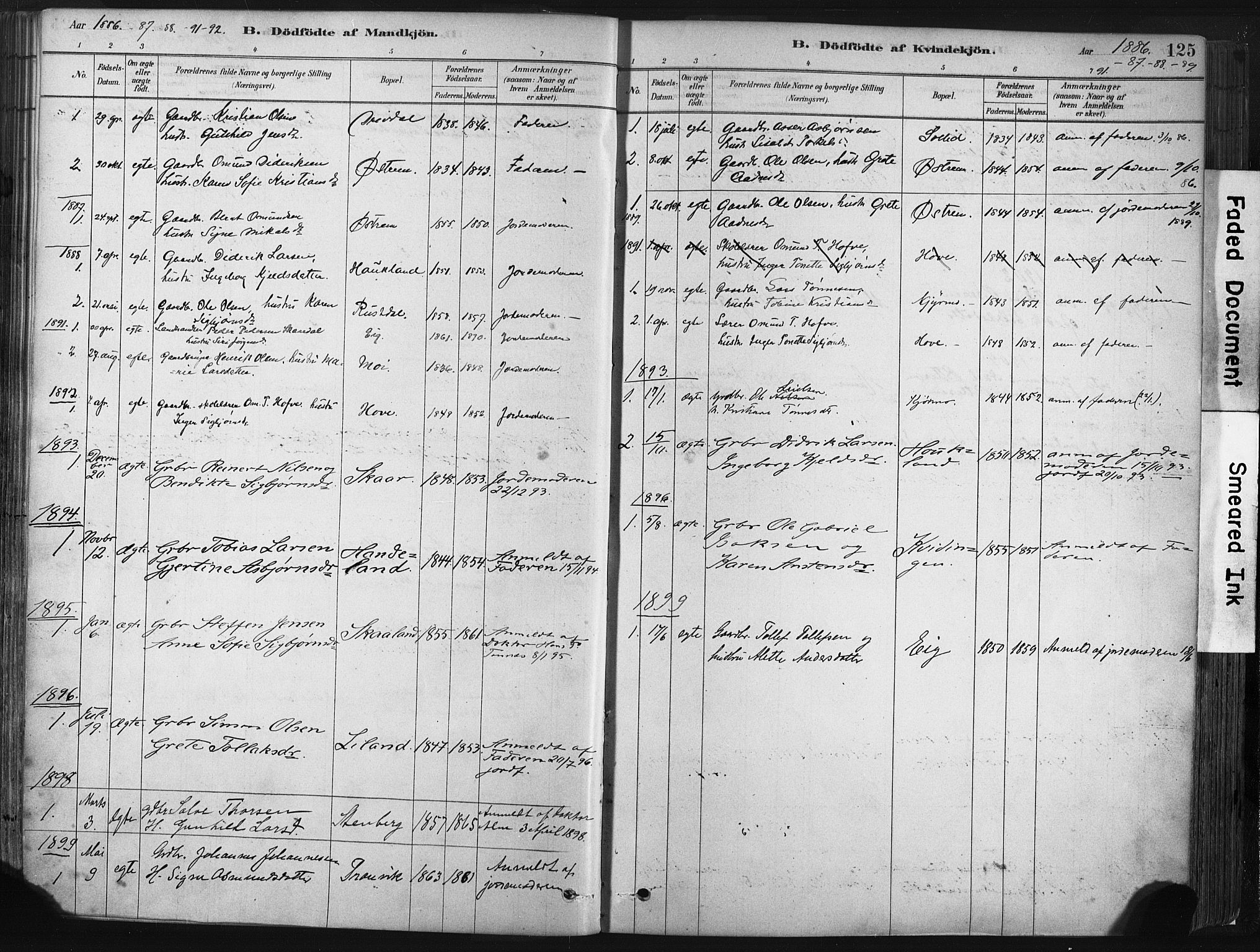 Lund sokneprestkontor, AV/SAST-A-101809/S06/L0011: Parish register (official) no. A 10, 1877-1904, p. 125