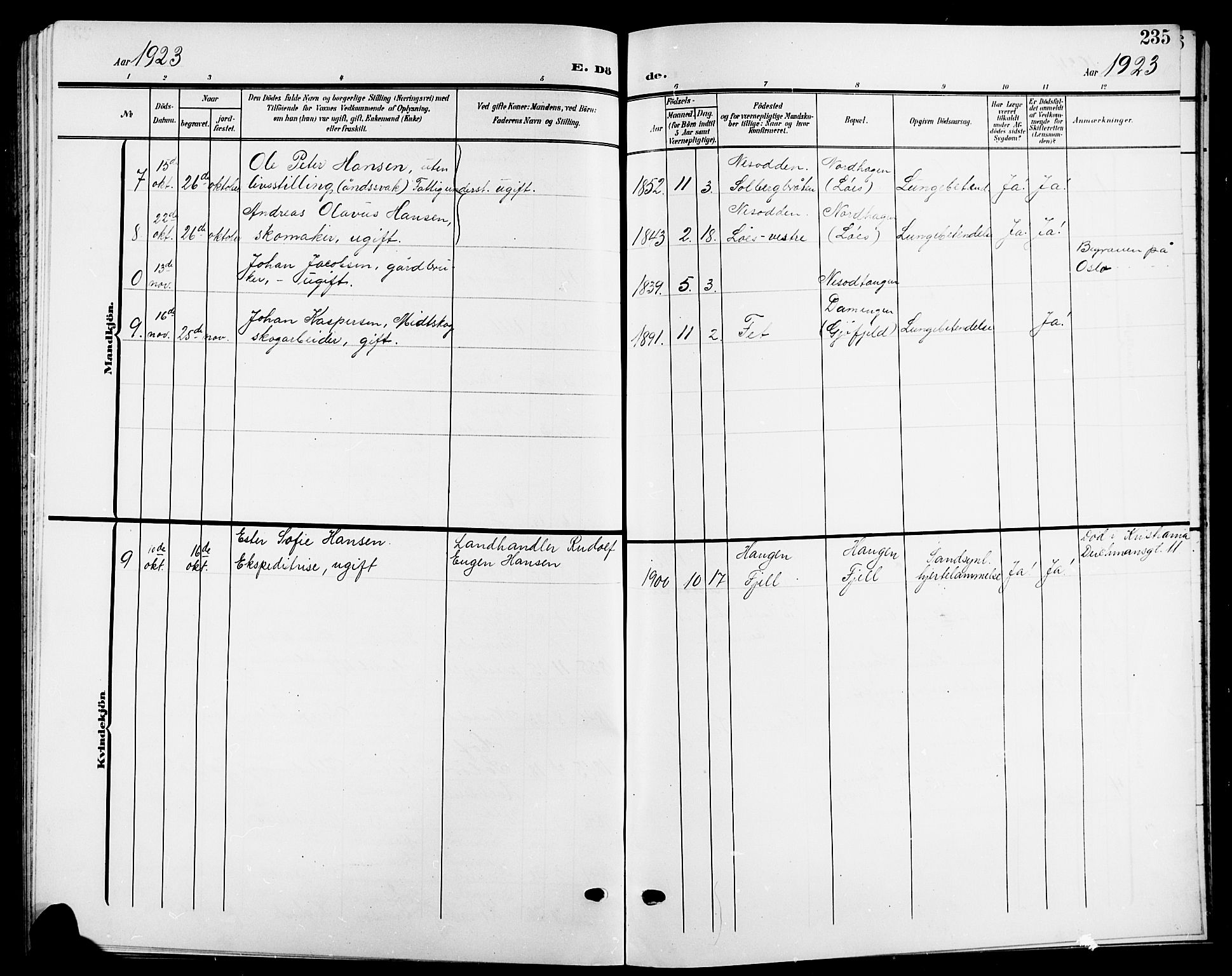 Nesodden prestekontor Kirkebøker, AV/SAO-A-10013/G/Ga/L0002: Parish register (copy) no. I 2, 1905-1924, p. 235