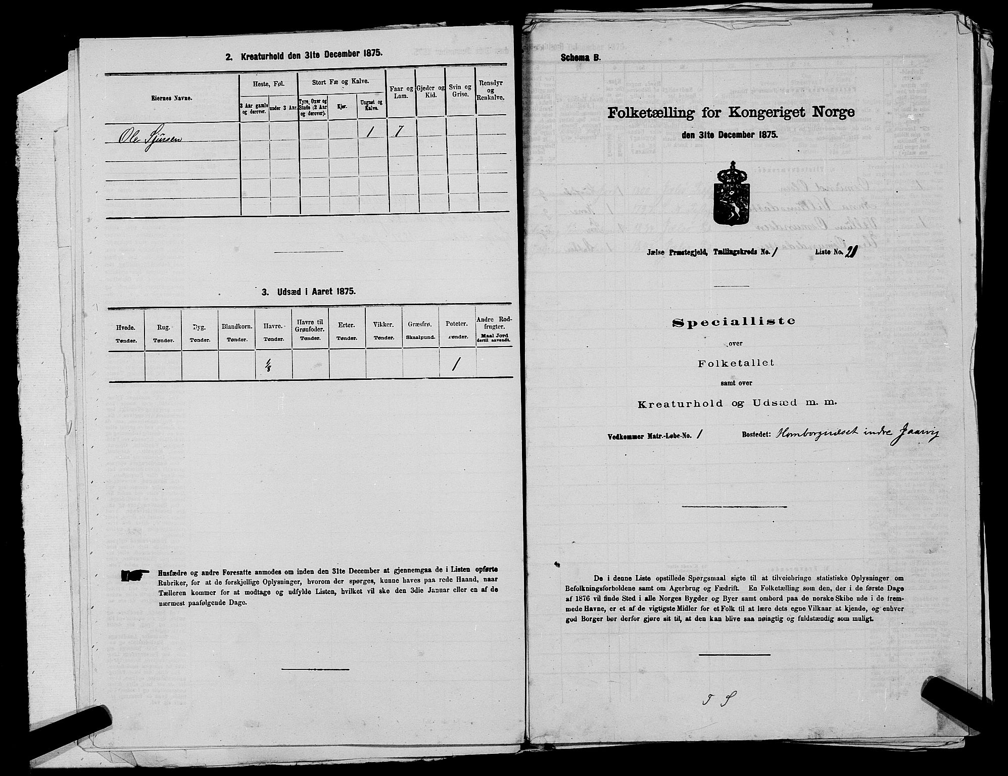 SAST, 1875 census for 1138P Jelsa, 1875, p. 45