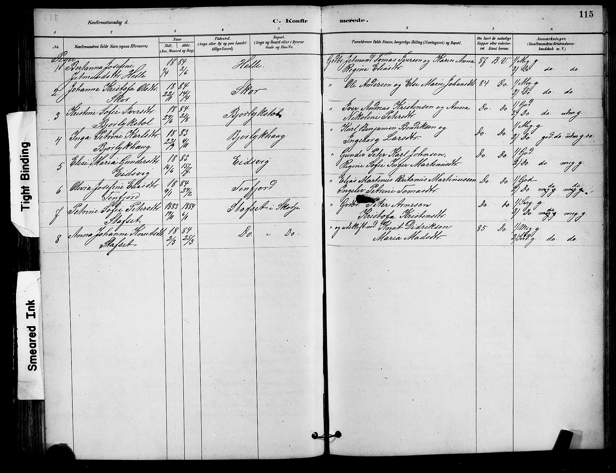 Ministerialprotokoller, klokkerbøker og fødselsregistre - Møre og Romsdal, AV/SAT-A-1454/525/L0376: Parish register (copy) no. 525C02, 1880-1902, p. 115