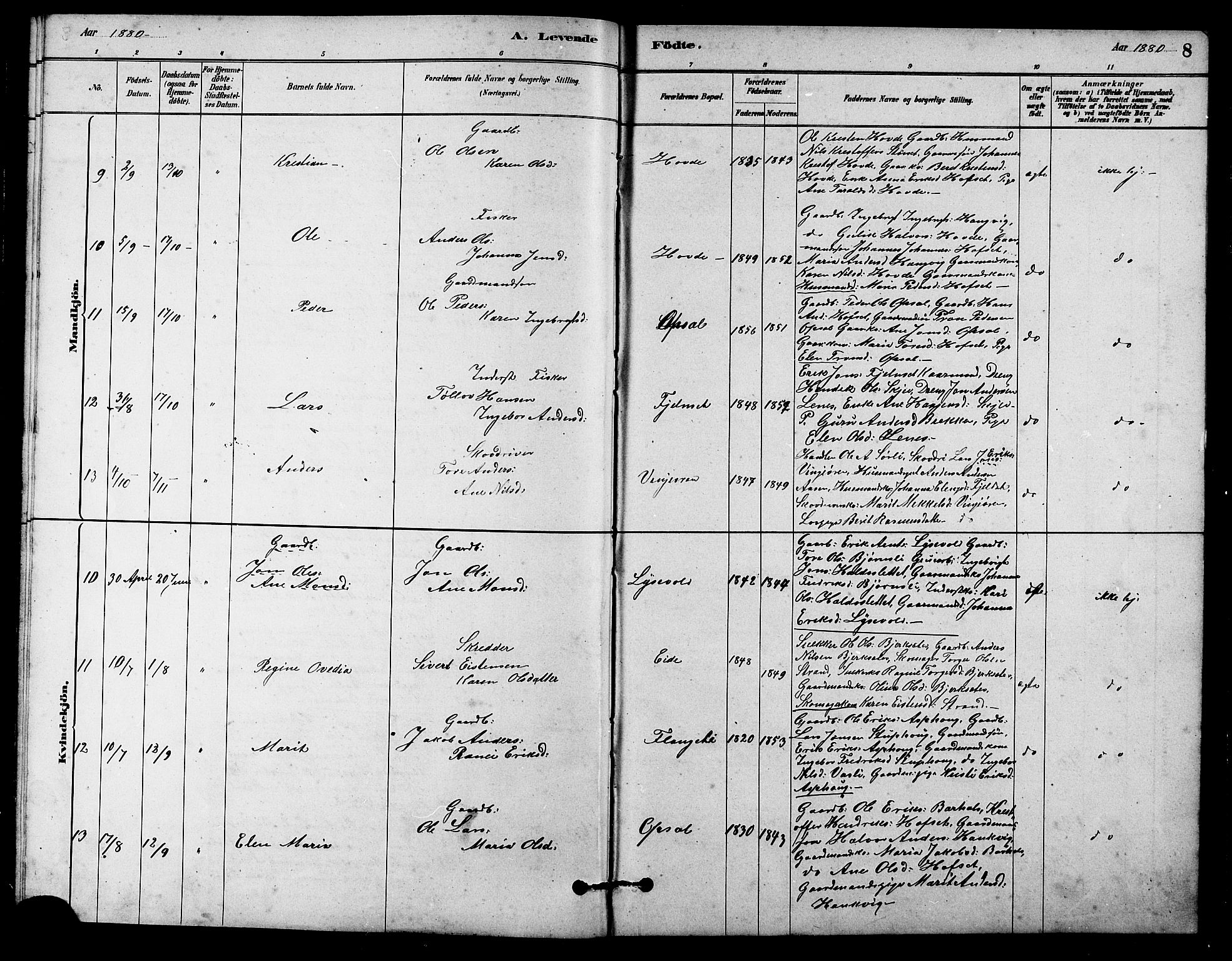 Ministerialprotokoller, klokkerbøker og fødselsregistre - Sør-Trøndelag, SAT/A-1456/631/L0514: Parish register (copy) no. 631C02, 1879-1912, p. 8
