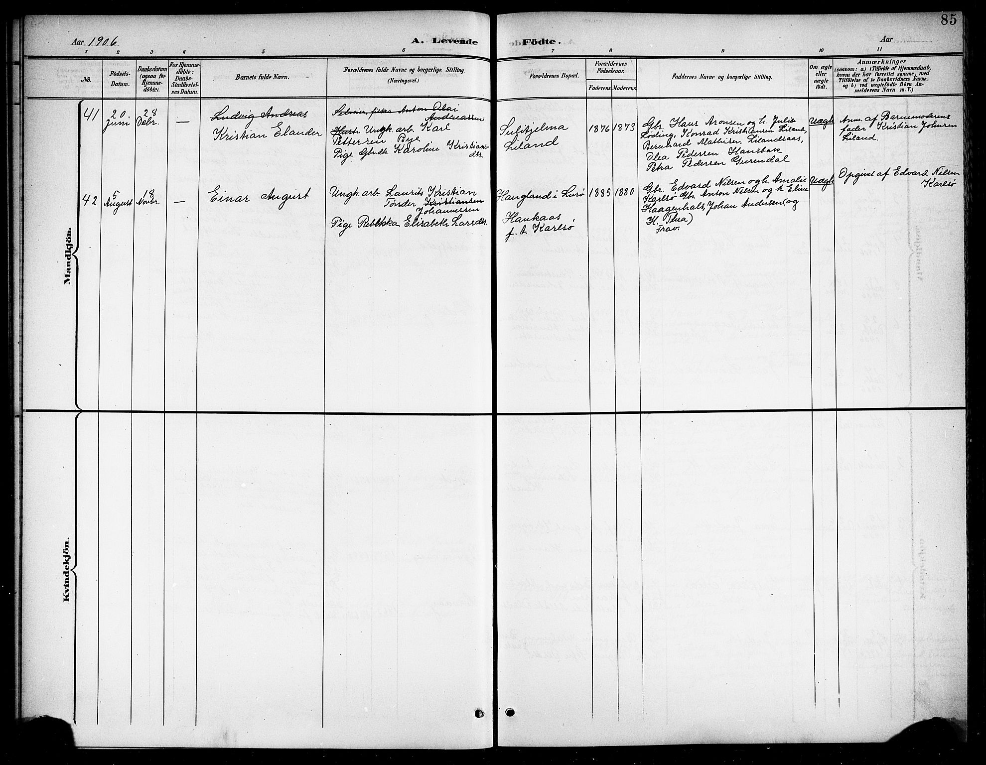 Ministerialprotokoller, klokkerbøker og fødselsregistre - Nordland, SAT/A-1459/859/L0860: Parish register (copy) no. 859C06, 1899-1909, p. 85