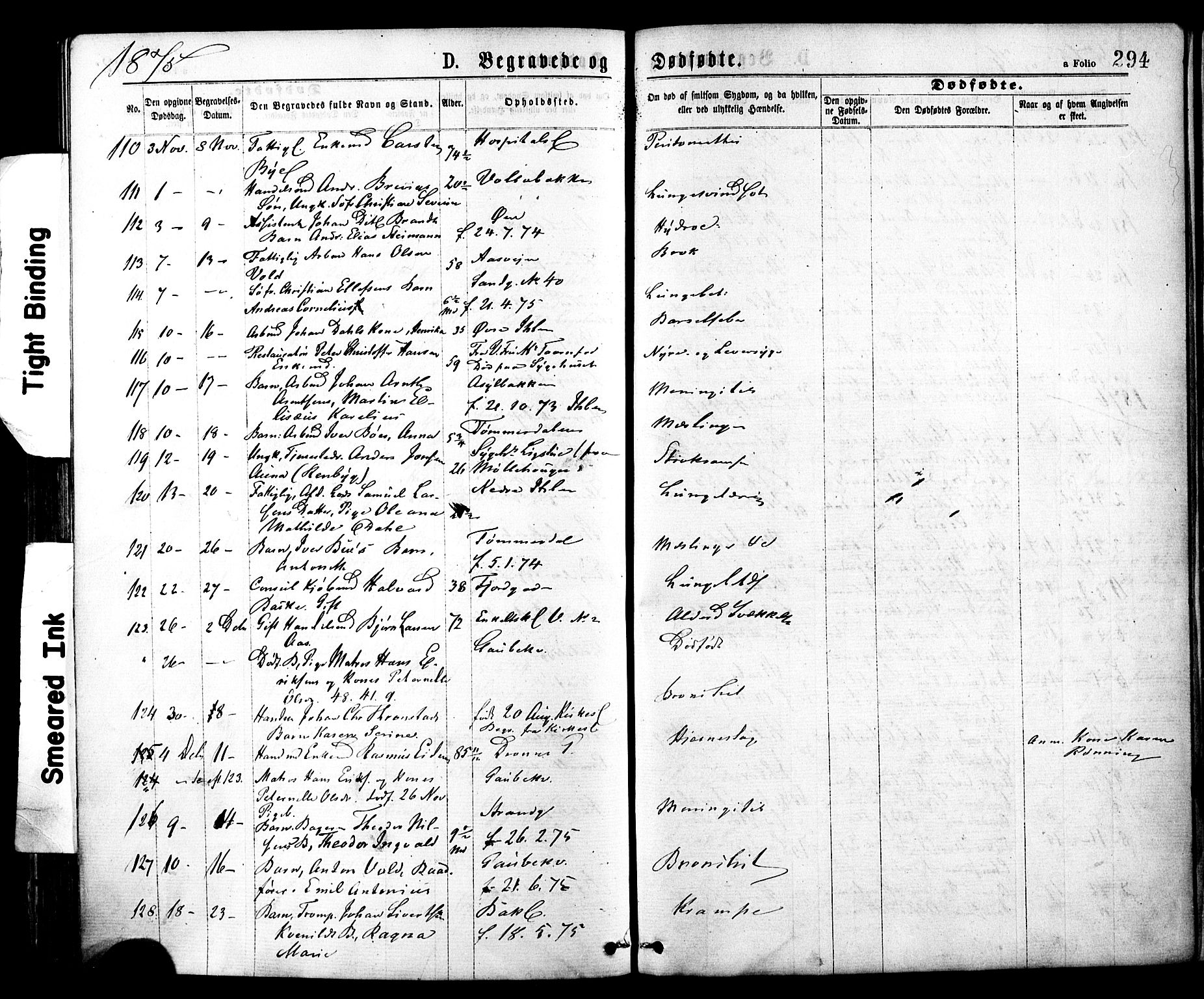 Ministerialprotokoller, klokkerbøker og fødselsregistre - Sør-Trøndelag, AV/SAT-A-1456/602/L0118: Parish register (official) no. 602A16, 1873-1879, p. 294