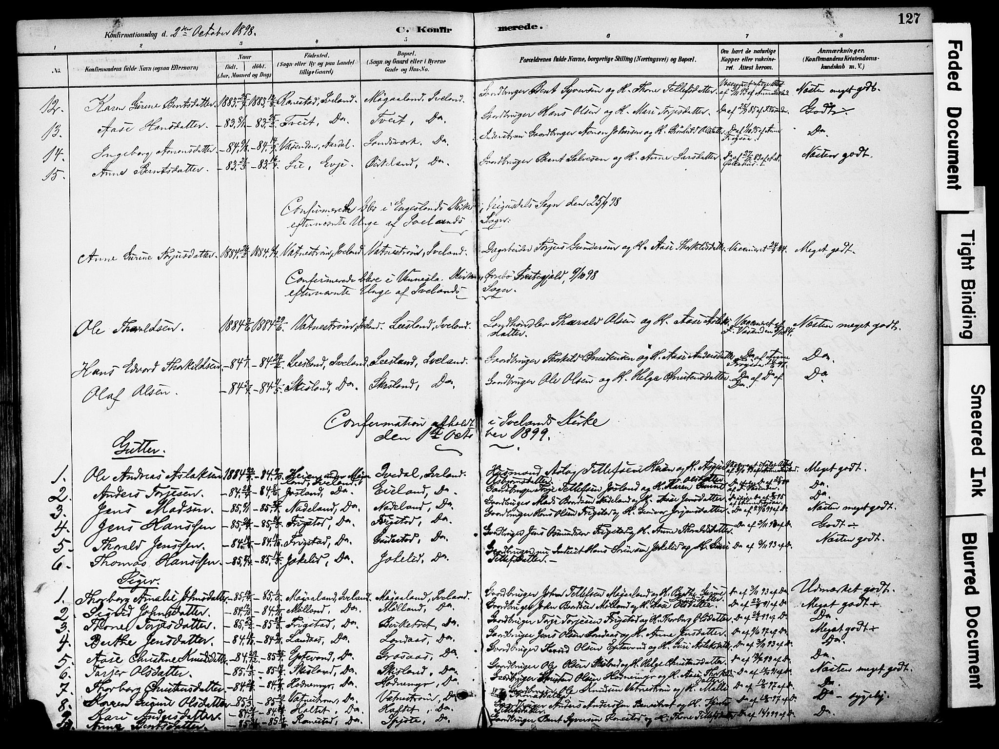 Evje sokneprestkontor, SAK/1111-0008/F/Fa/Fac/L0003: Parish register (official) no. A 3, 1884-1909, p. 127