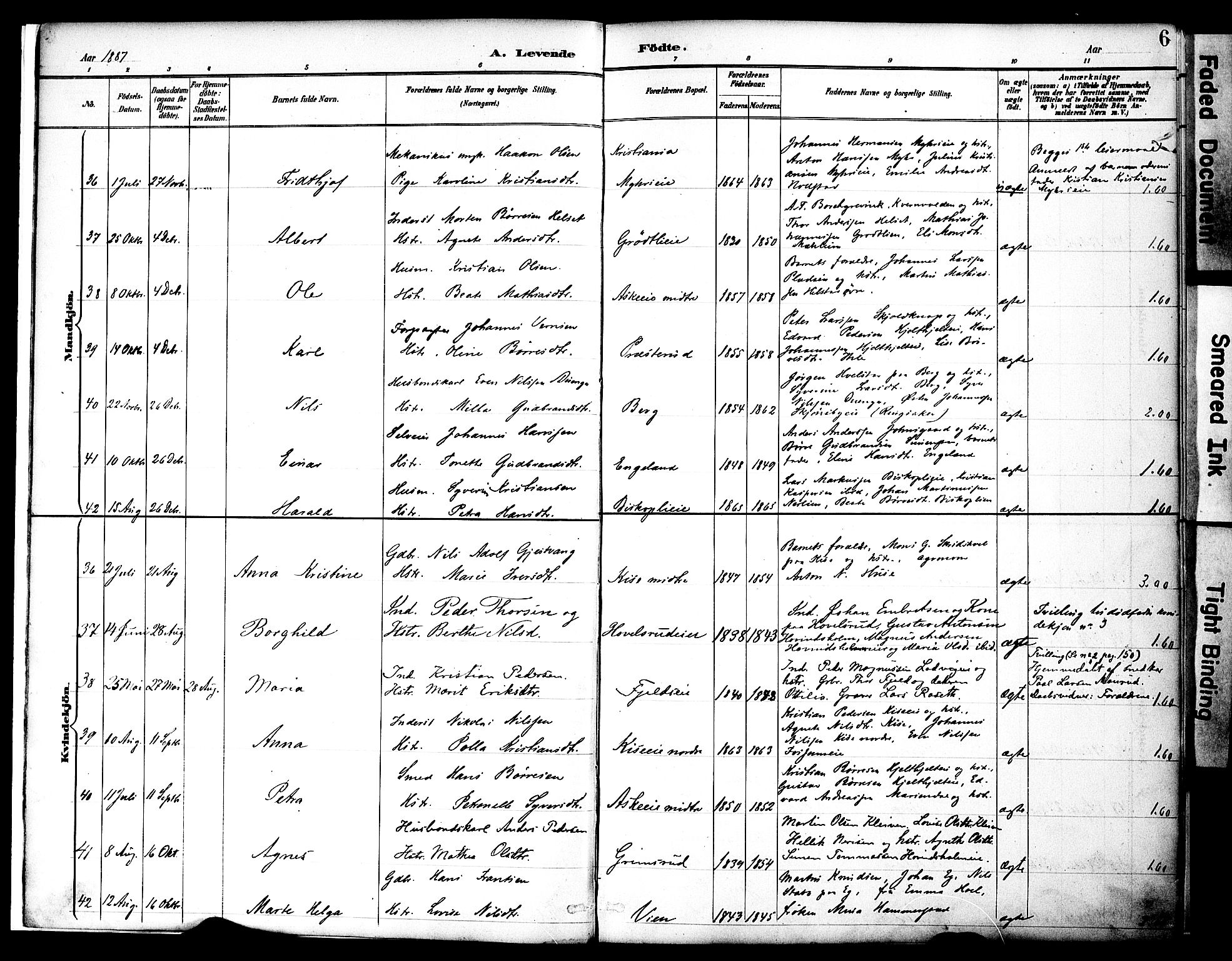 Nes prestekontor, Hedmark, SAH/PREST-020/K/Ka/L0009: Parish register (official) no. 9, 1887-1905, p. 6