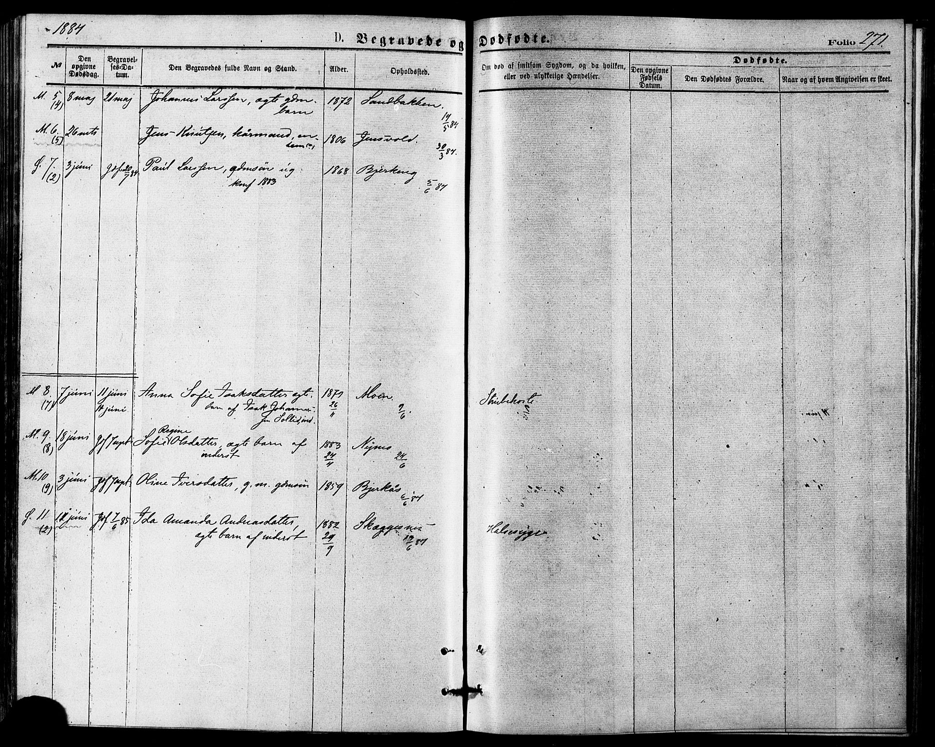 Målselv sokneprestembete, AV/SATØ-S-1311/G/Ga/Gaa/L0005kirke: Parish register (official) no. 5, 1872-1884, p. 271