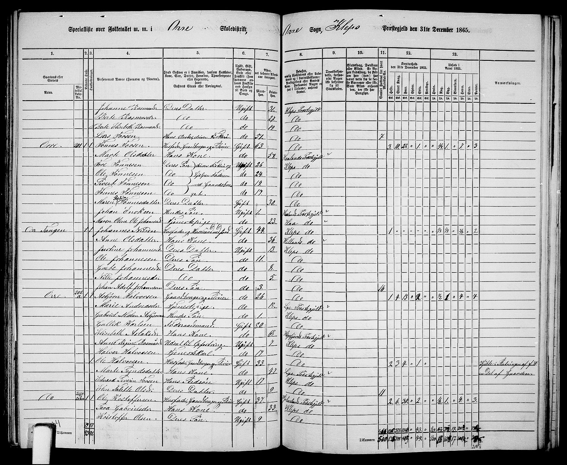 RA, 1865 census for Klepp, 1865, p. 74