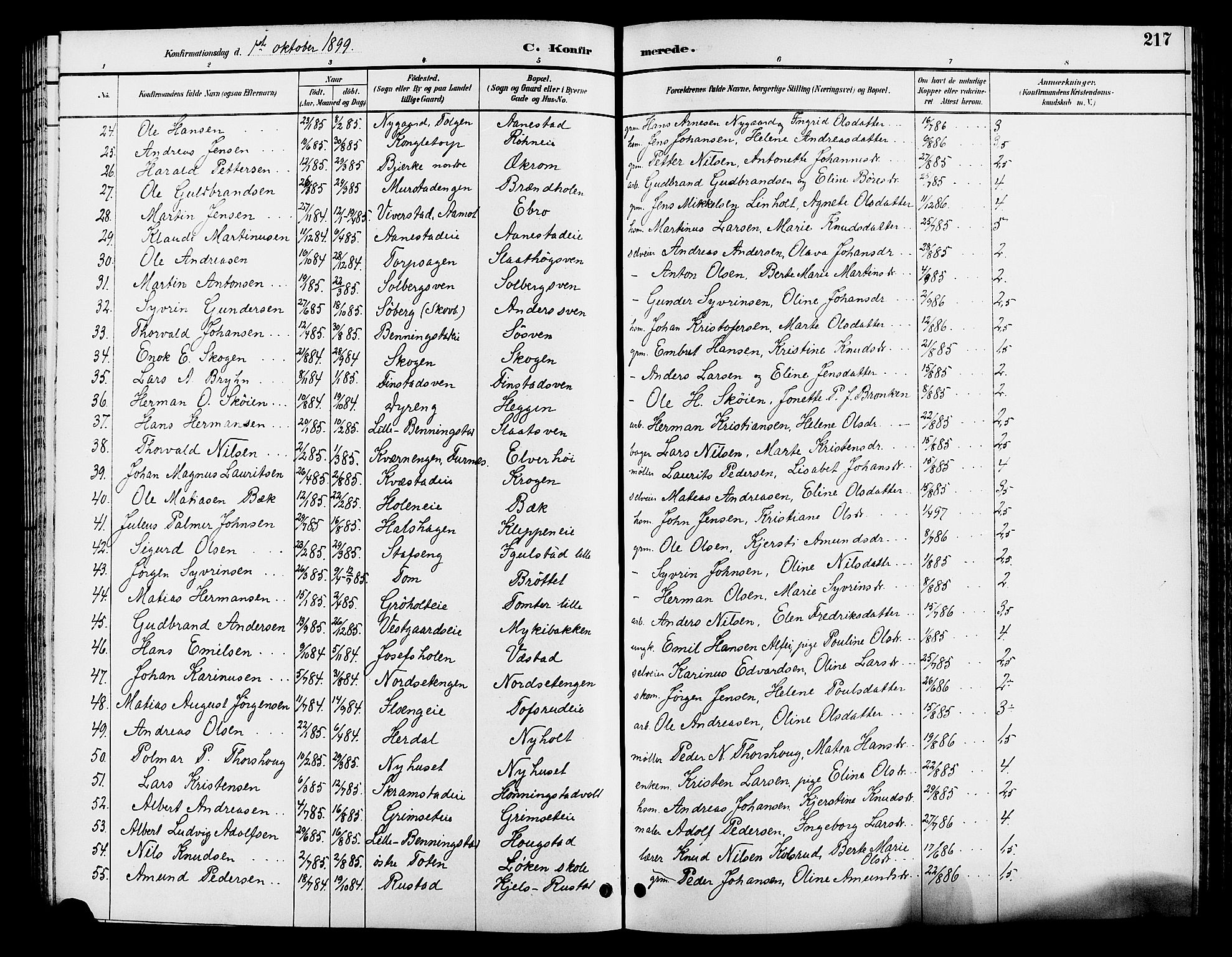 Løten prestekontor, SAH/PREST-022/L/La/L0006: Parish register (copy) no. 6, 1892-1909, p. 217