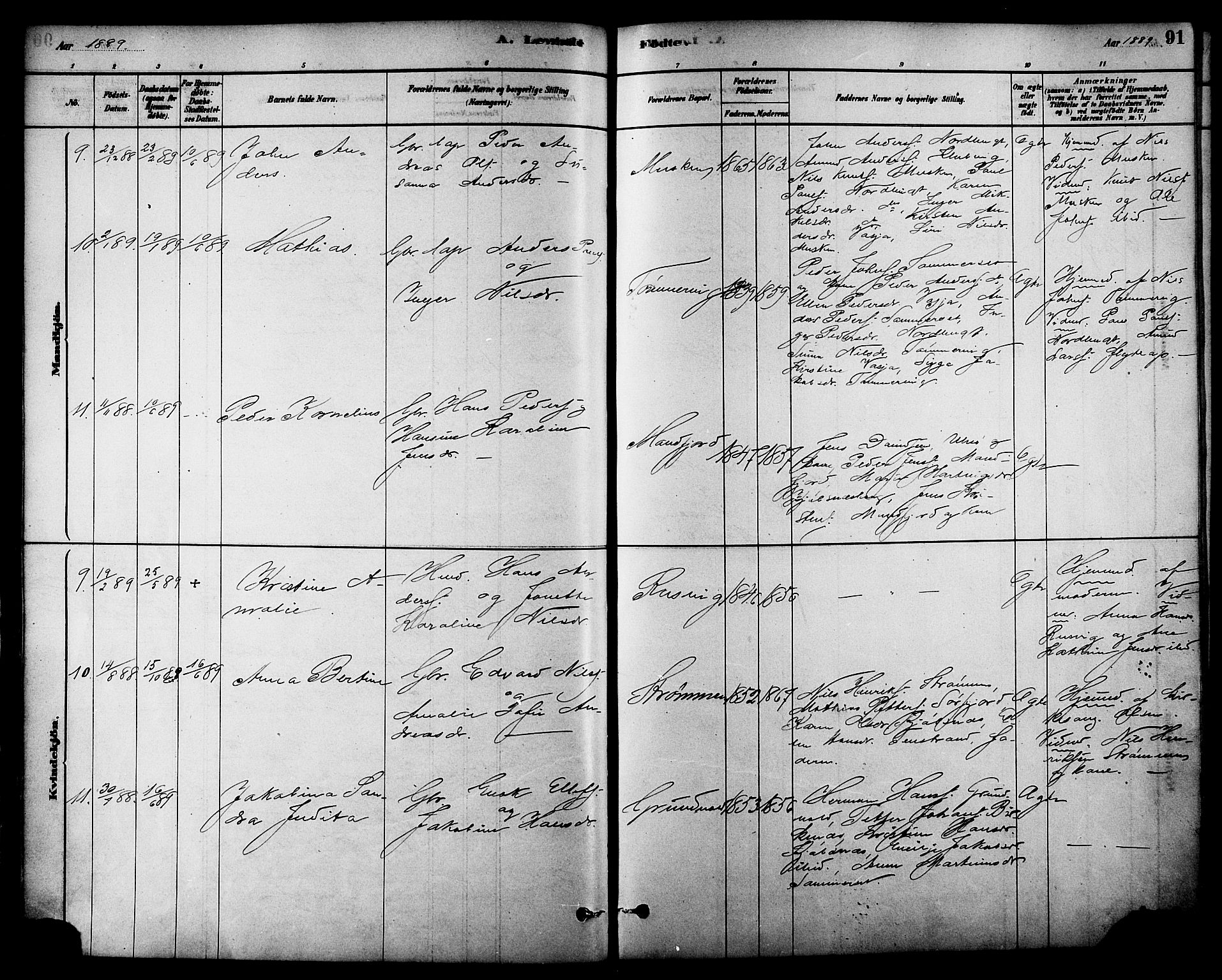 Ministerialprotokoller, klokkerbøker og fødselsregistre - Nordland, AV/SAT-A-1459/861/L0868: Parish register (official) no. 861A03, 1879-1889, p. 91