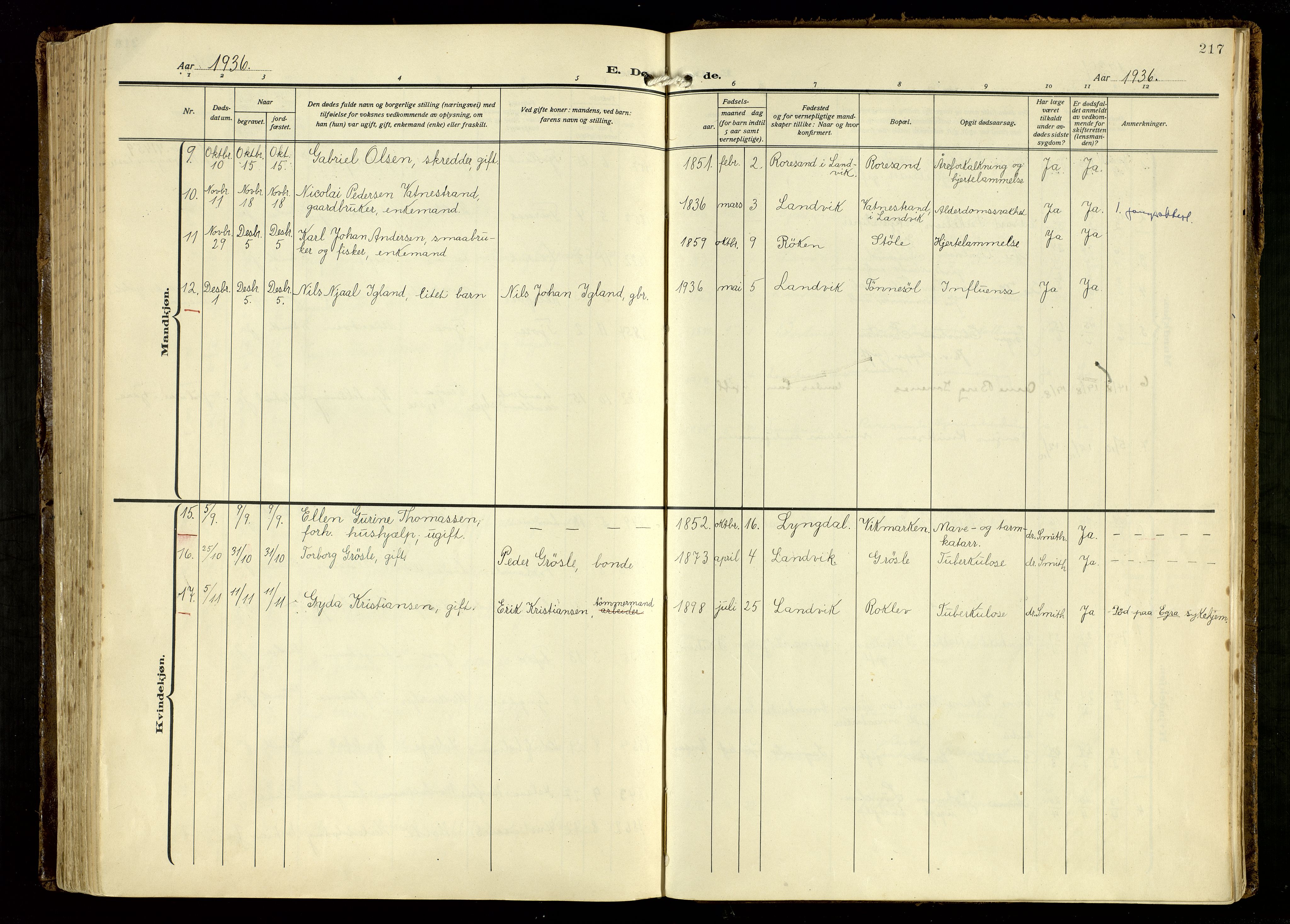 Hommedal sokneprestkontor, AV/SAK-1111-0023/F/Fa/Fab/L0008: Parish register (official) no. A 8, 1925-1956, p. 217