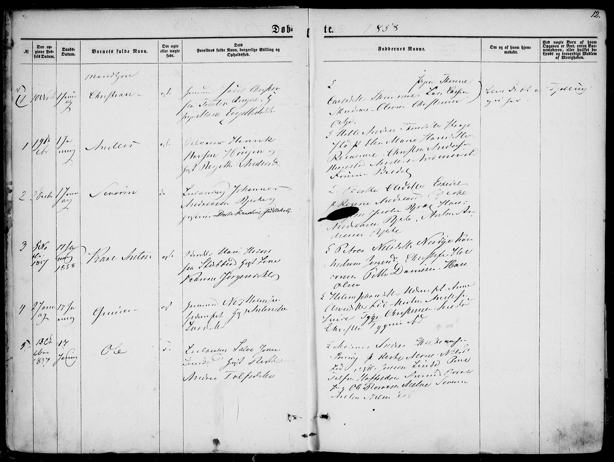 Hedrum kirkebøker, AV/SAKO-A-344/F/Fa/L0007: Parish register (official) no. I 7, 1857-1868, p. 12