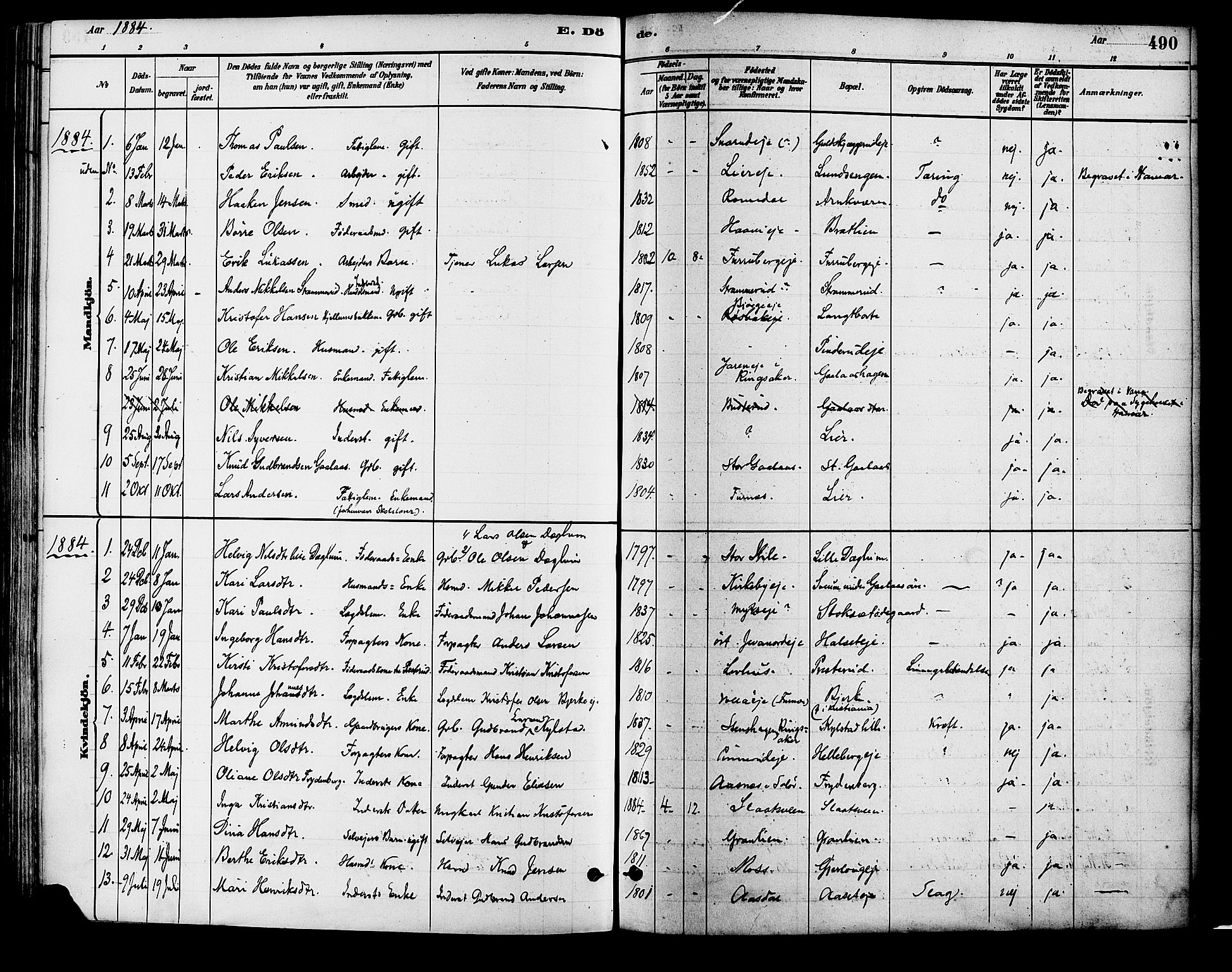 Vang prestekontor, Hedmark, SAH/PREST-008/H/Ha/Haa/L0018B: Parish register (official) no. 18B, 1880-1906, p. 490