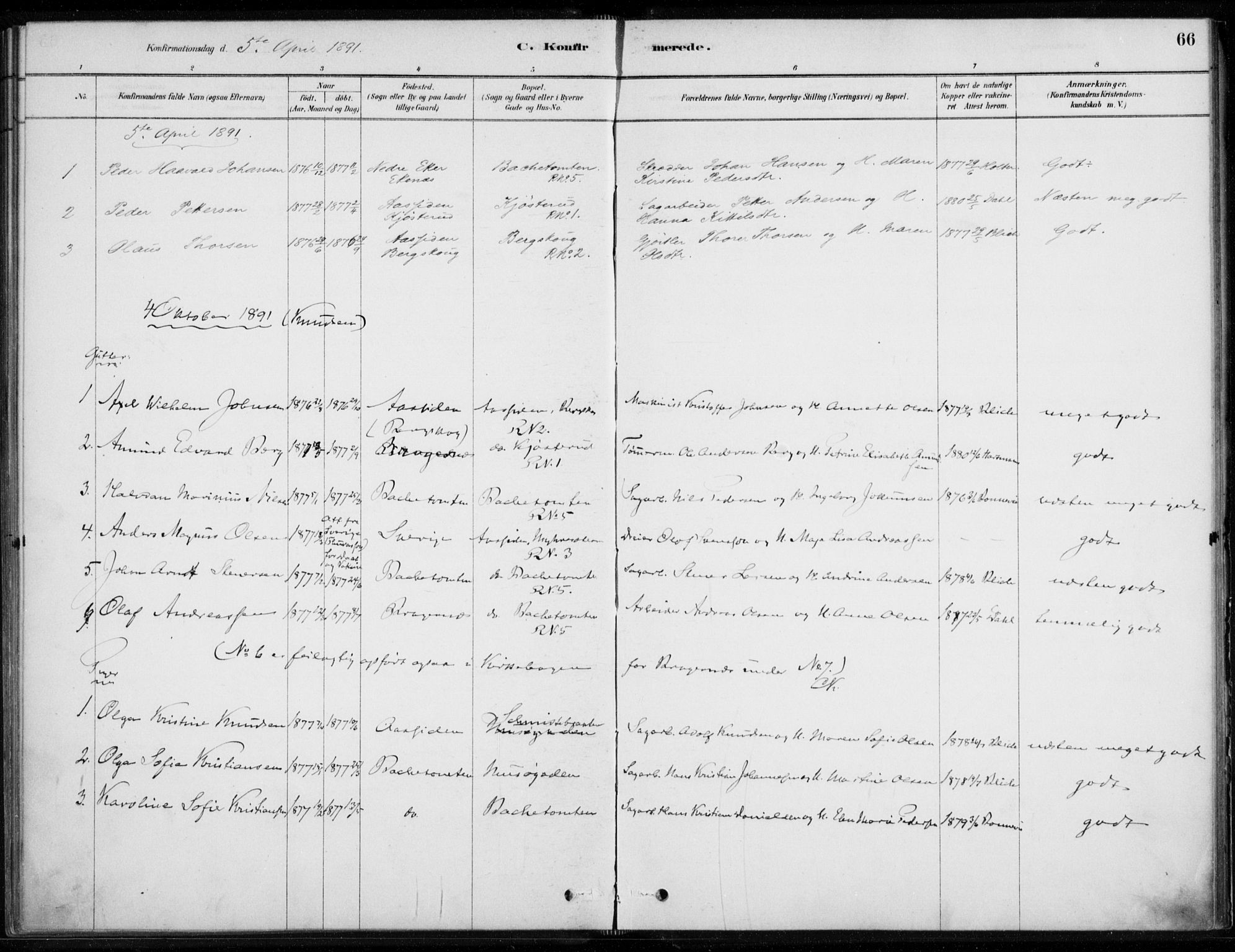 Åssiden kirkebøker, SAKO/A-251/F/Fa/L0001: Parish register (official) no. 1, 1878-1904, p. 66