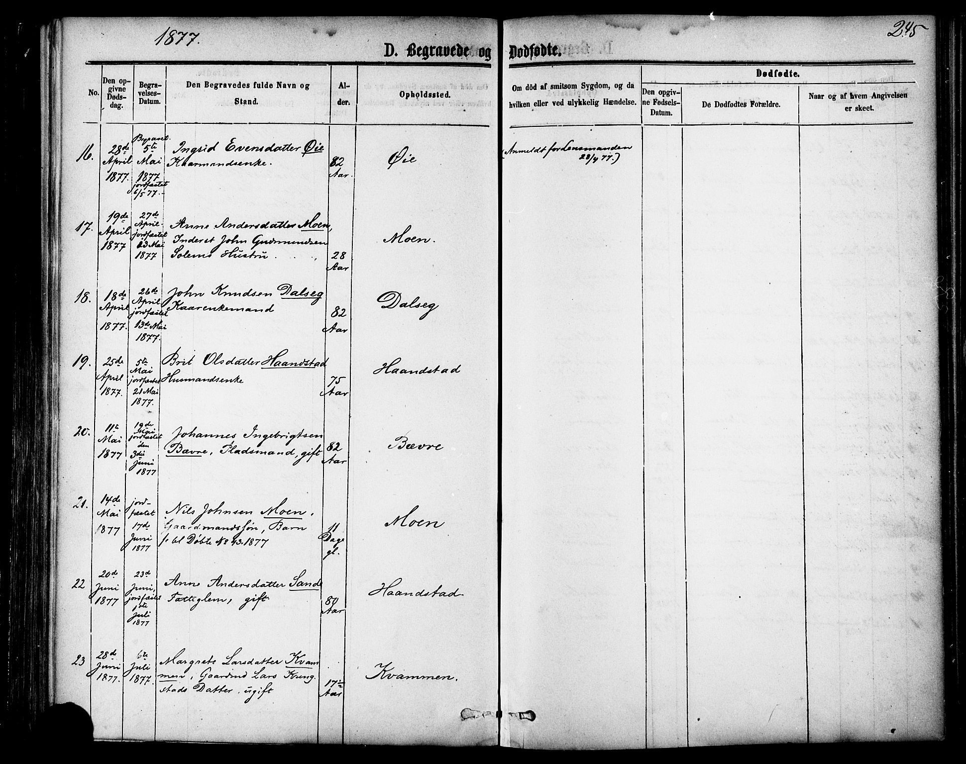 Ministerialprotokoller, klokkerbøker og fødselsregistre - Møre og Romsdal, AV/SAT-A-1454/595/L1046: Parish register (official) no. 595A08, 1874-1884, p. 245