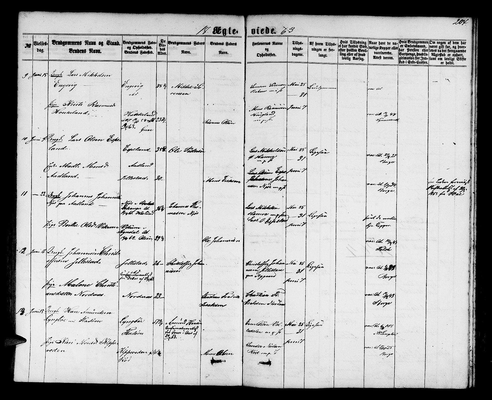 Fana Sokneprestembete, SAB/A-75101/H/Hab/Habb/L0003: Parish register (copy) no. B 3, 1861-1888, p. 204