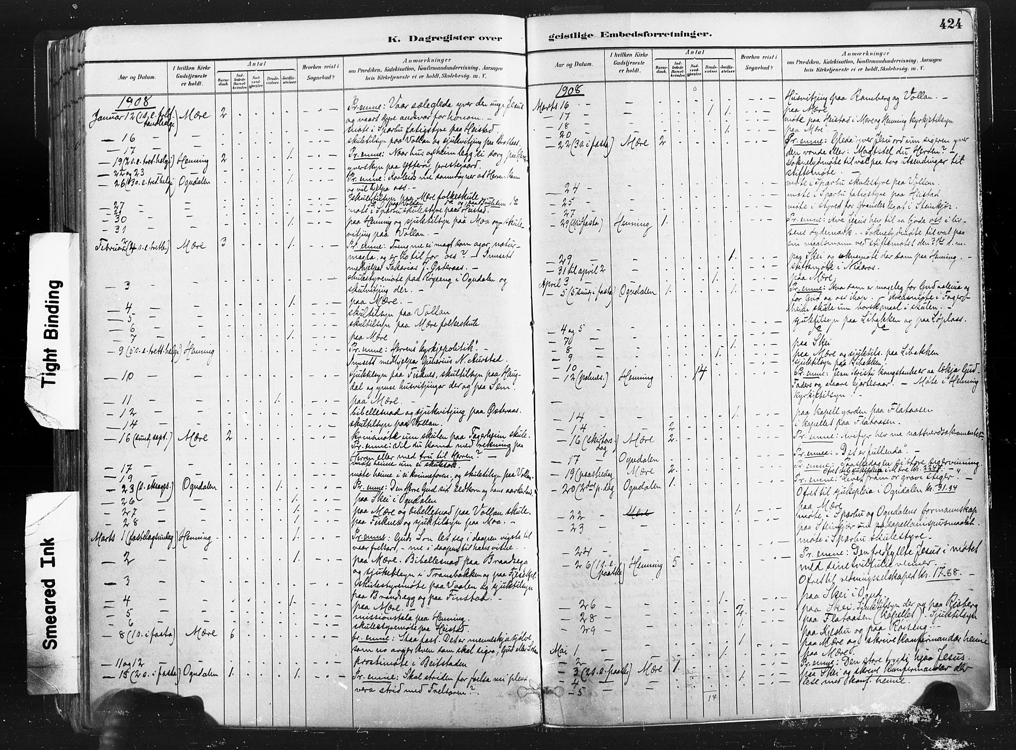 Ministerialprotokoller, klokkerbøker og fødselsregistre - Nord-Trøndelag, SAT/A-1458/735/L0351: Parish register (official) no. 735A10, 1884-1908, p. 424