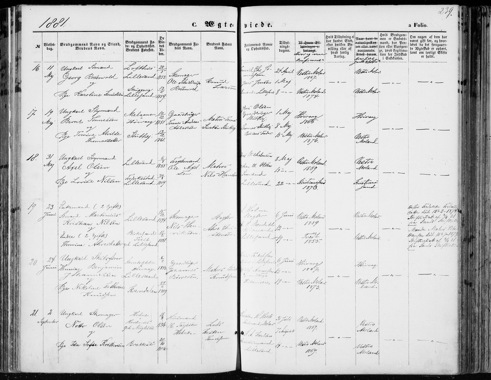 Vestre Moland sokneprestkontor, AV/SAK-1111-0046/F/Fa/Fab/L0008: Parish register (official) no. A 8, 1873-1883, p. 239