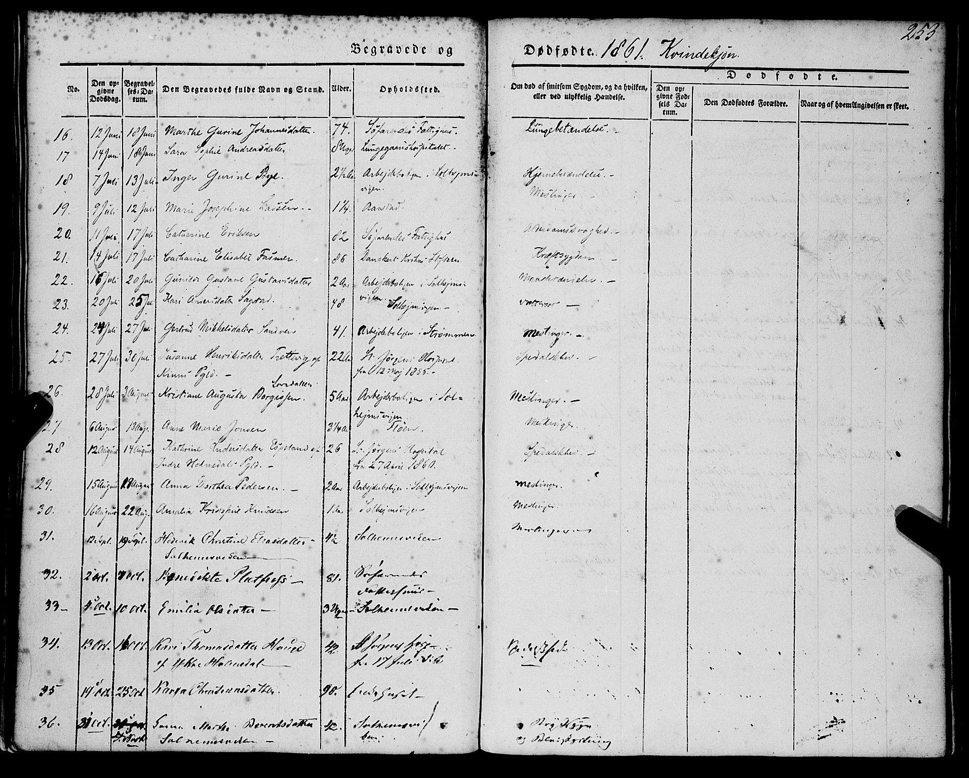 St. Jørgens hospital og Årstad sokneprestembete, AV/SAB-A-99934: Parish register (official) no. A 4, 1844-1863, p. 253