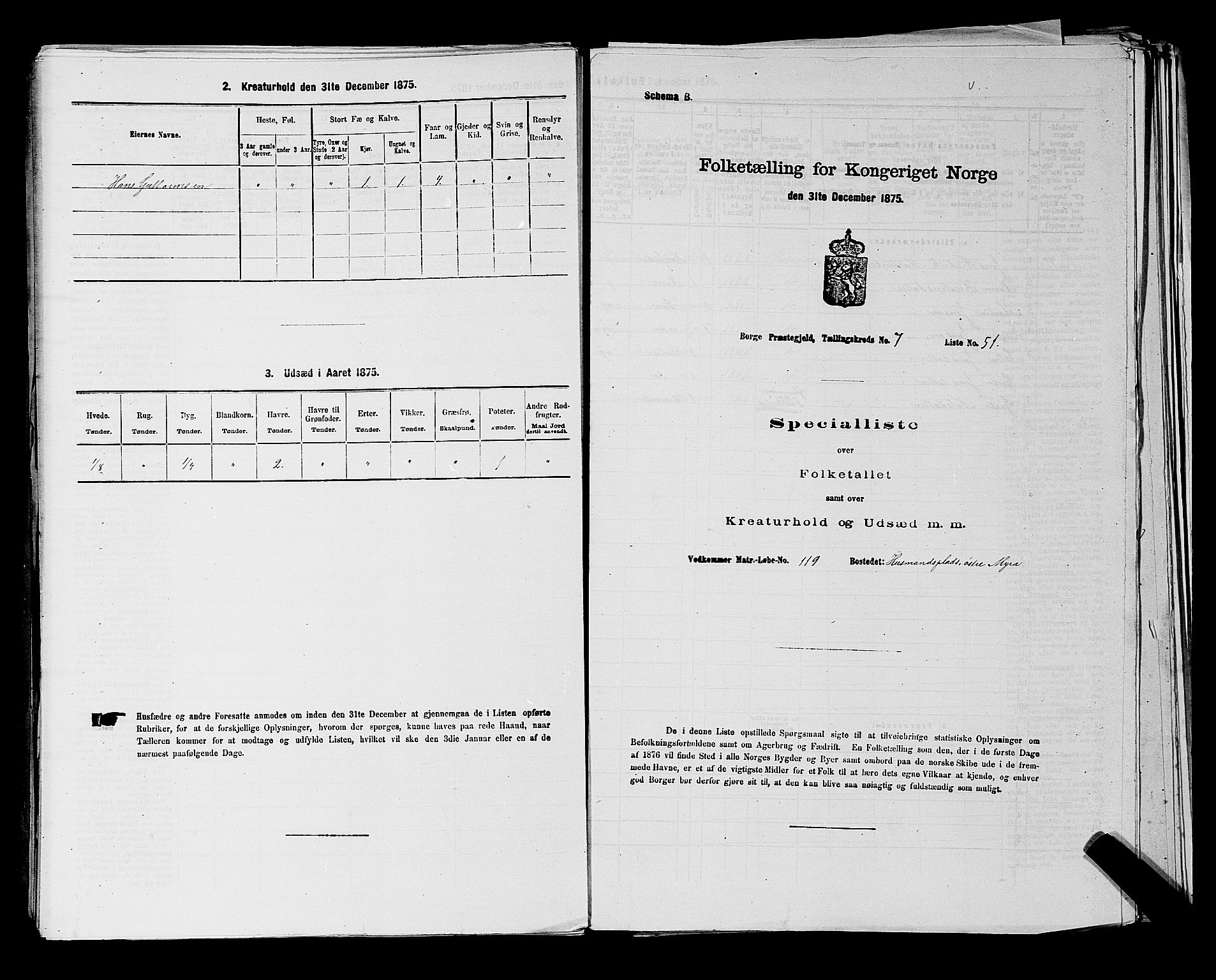 RA, 1875 census for 0113P Borge, 1875, p. 1091
