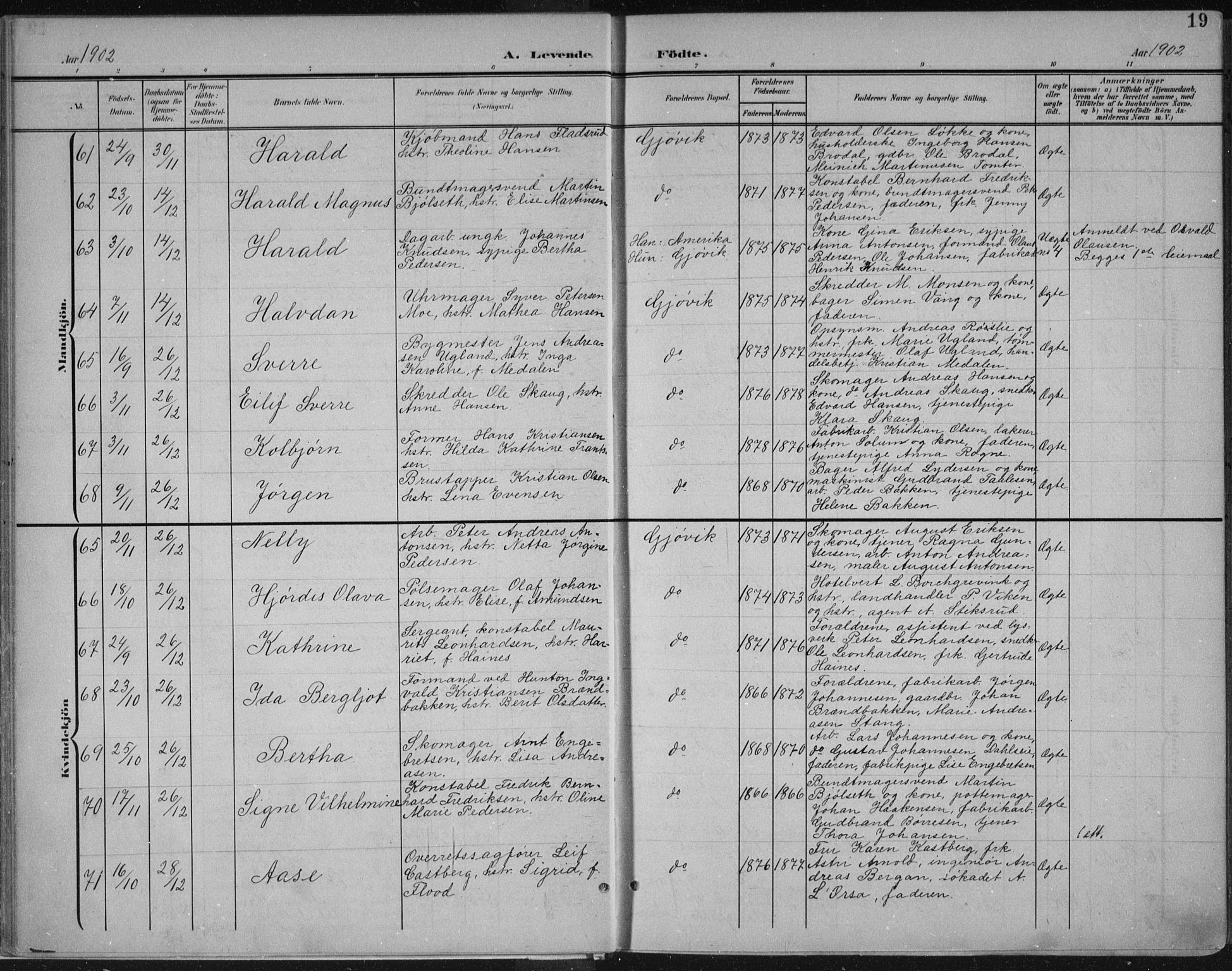 Vardal prestekontor, SAH/PREST-100/H/Ha/Haa/L0013: Parish register (official) no. 13, 1901-1911, p. 19