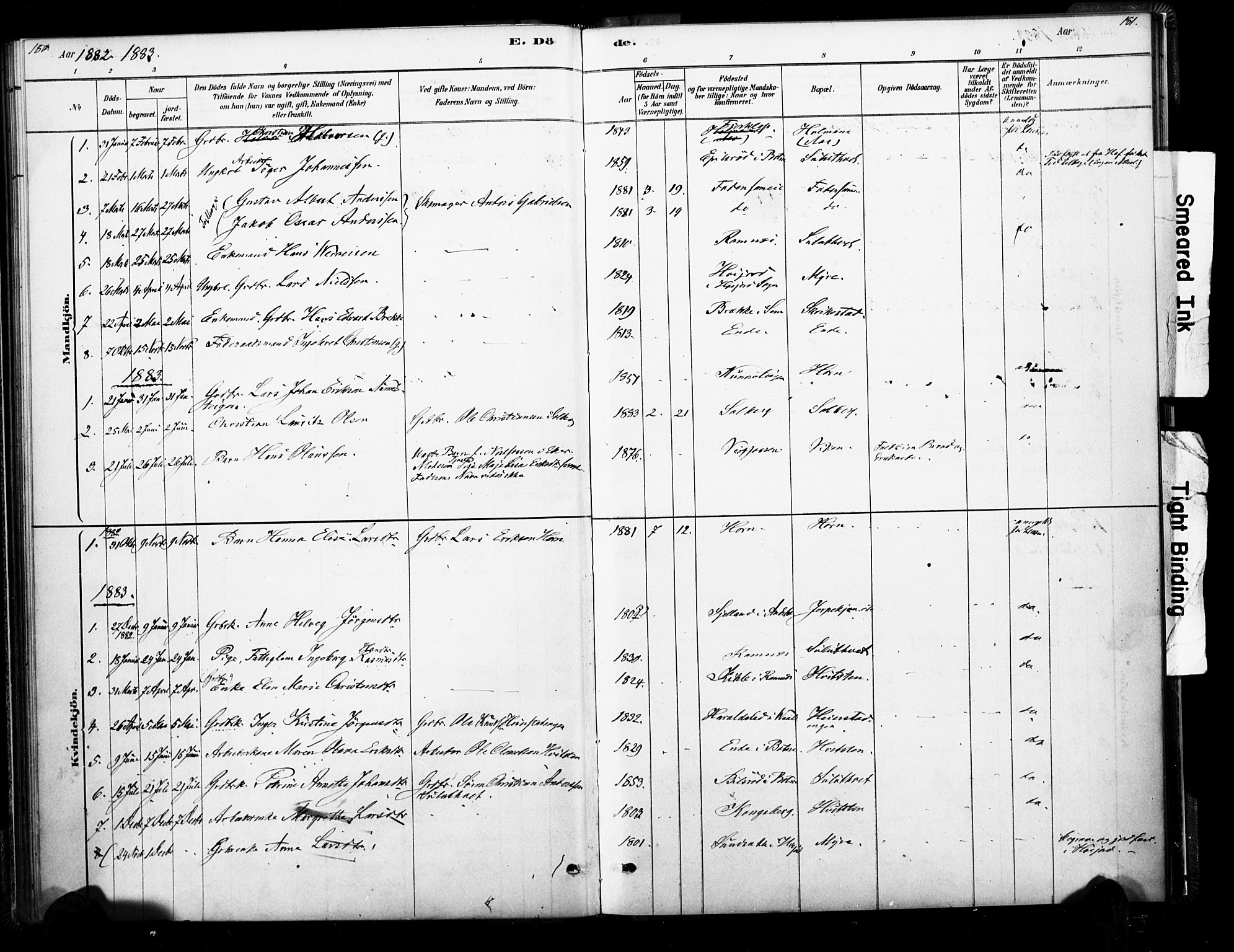 Ramnes kirkebøker, SAKO/A-314/F/Fb/L0001: Parish register (official) no. II 1, 1878-1894, p. 180-181