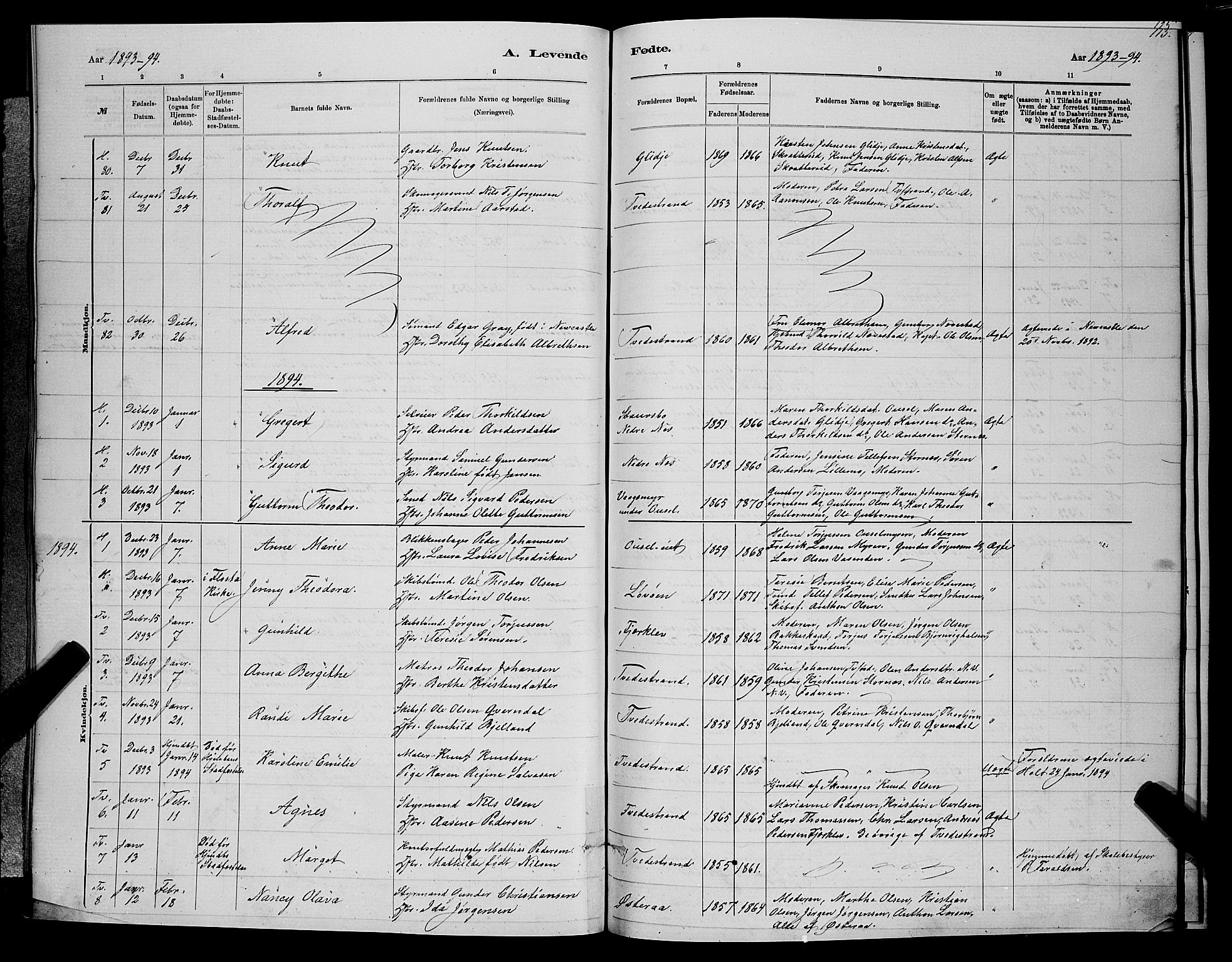 Holt sokneprestkontor, SAK/1111-0021/F/Fb/L0010: Parish register (copy) no. B 10, 1883-1896, p. 113